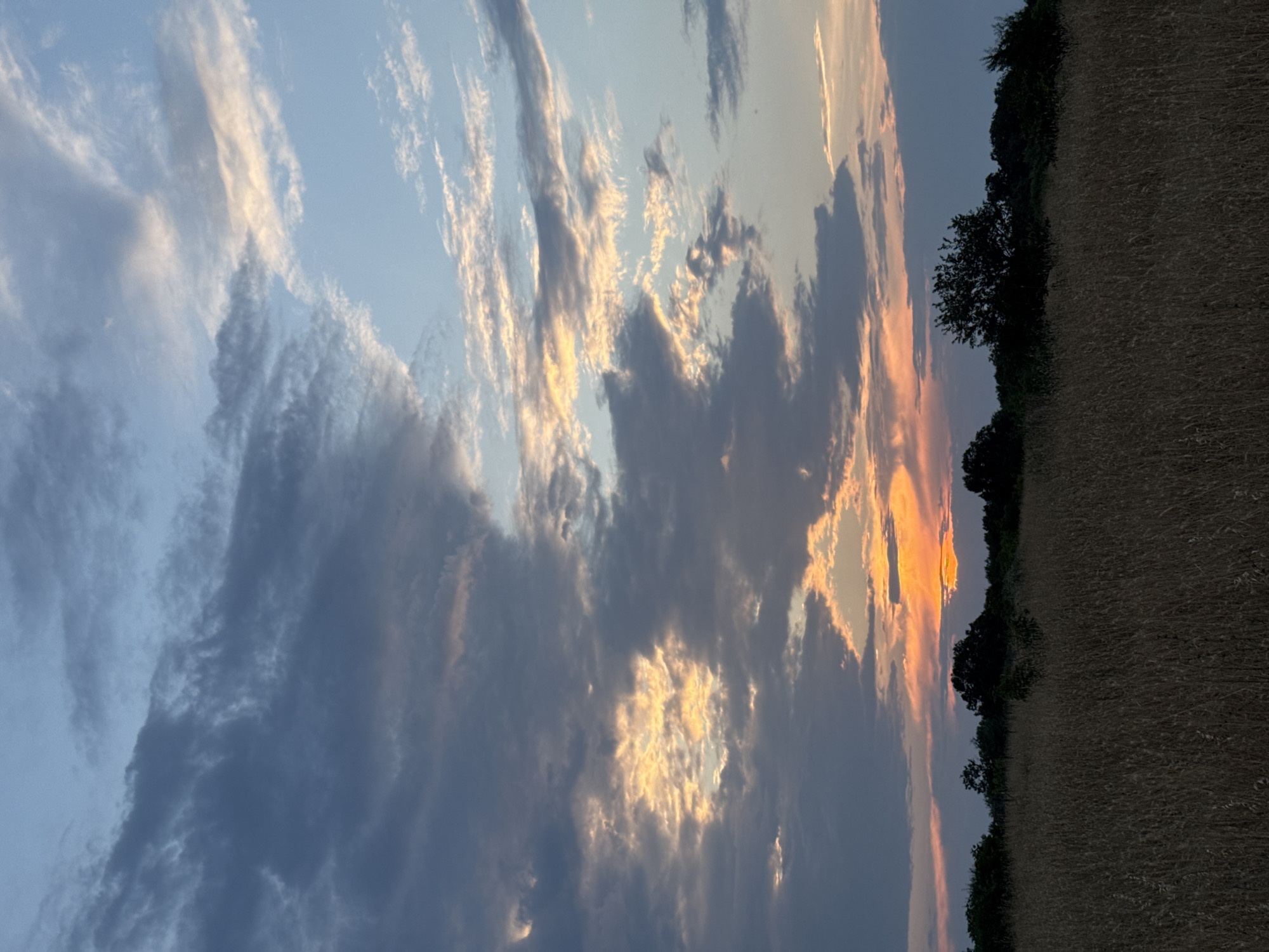 This is a vertical, medium shot photograph of a field of dry, golden grass at dusk. The grass is dense and extends from the bottom of the frame to a line of silhouetted trees and foliage in the middle ground. The trees vary in height and density, with some appearing as thick clumps of leaves and others as individual, darker shapes. Above the tree line, the sky is a dramatic canvas of clouds. The lower part of the sky, near the horizon, is illuminated by a setting sun, casting vibrant orange and yellow hues through gaps in the clouds. Higher up, the clouds are a mix of dark grays and lighter blues, with streaks of white and pale yellow where they catch the fading light. The overall impression is one of a peaceful, natural landscape at the end of the day. The photograph was taken in Varvara, Bulgaria.