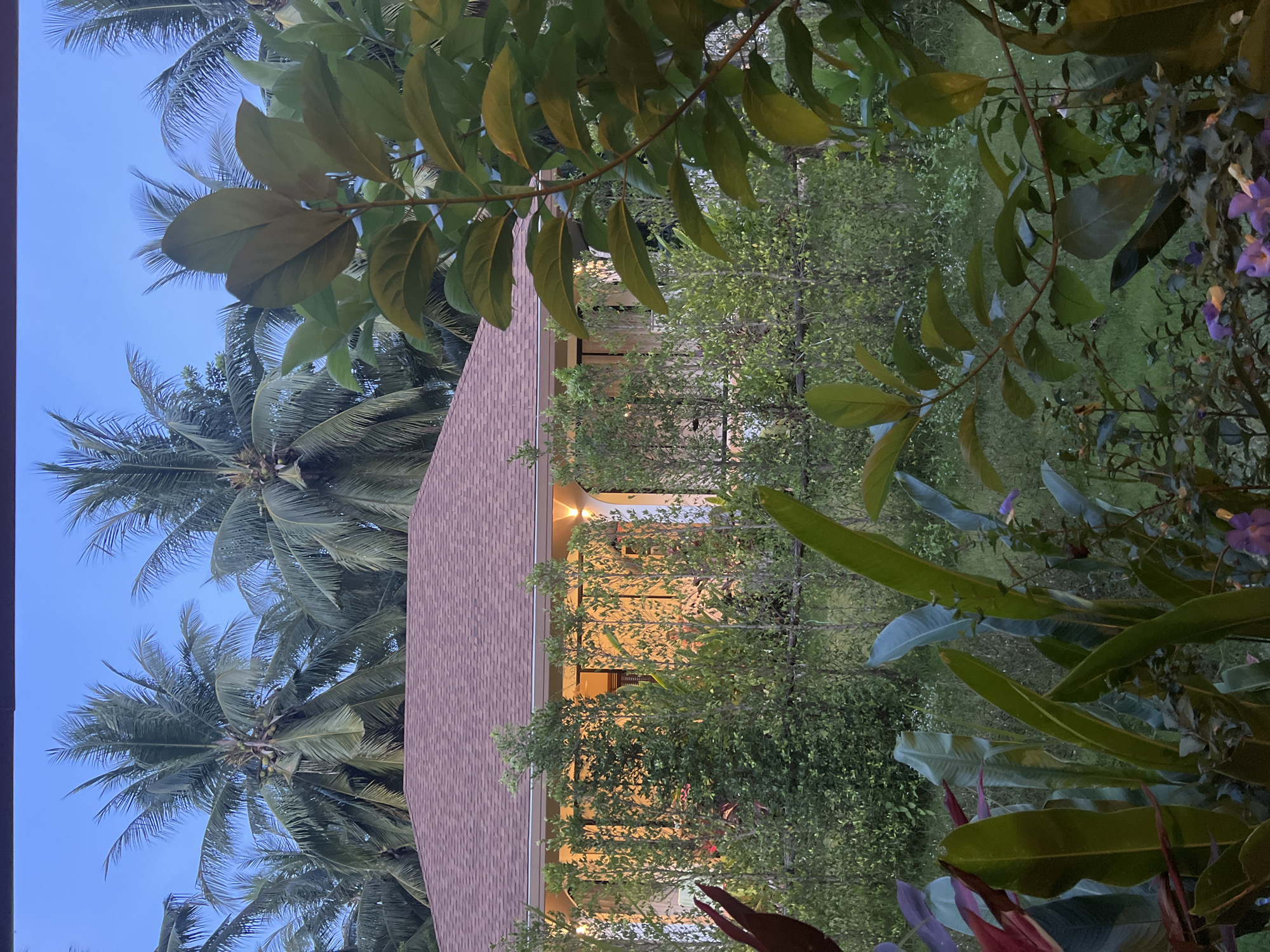 The image depicts a tropical residential scene at dusk on Koh Phangan island, Thailand. In the background, a single-story house with a reddish-brown tiled roof is visible, illuminated by warm interior lights shining through its windows and under its eaves. The house is surrounded by lush, dense vegetation, including tall palm trees with their characteristic fronds reaching towards the twilight sky. In the foreground, various tropical plants with large, broad leaves and some smaller, flowering plants add to the rich, green foliage. The overall atmosphere is serene and evokes a sense of peaceful seclusion. There are no people or animals visible in the frame.