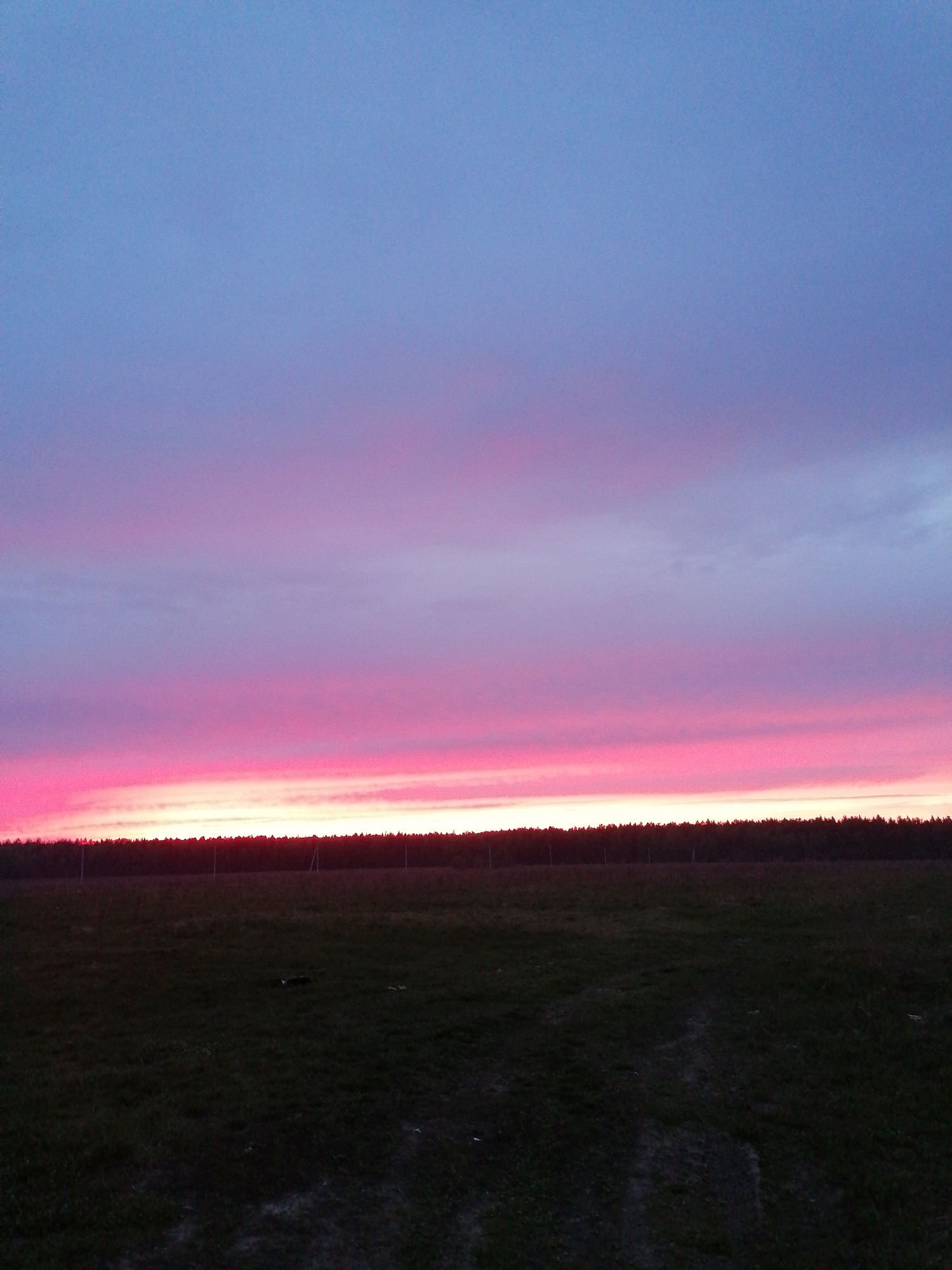 The image depicts a landscape at dusk or dawn, likely in a rural area. The sky is the dominant feature, displaying a gradient of colors from blue at the top to pink and red near the horizon. A dark line of trees or vegetation stretches horizontally across the middle ground, separating the sky from a field or open area in the foreground. The field is predominantly dark green, possibly indicating grass or crops. The exact location is unknown.