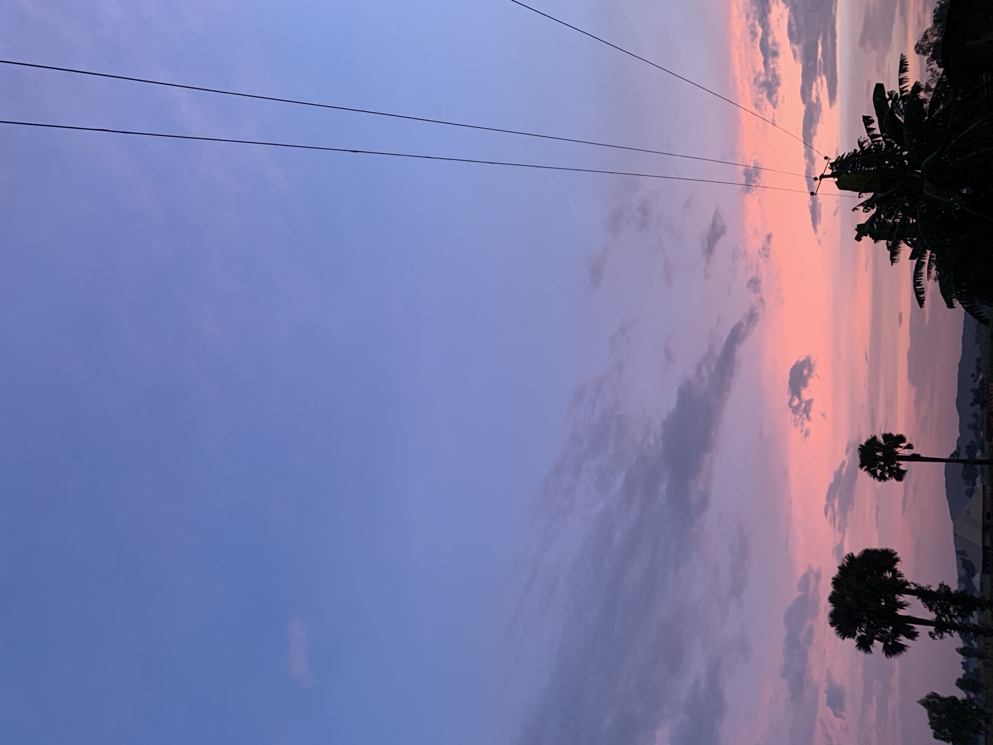 The image captures a sunset scene in Kuru Karama, Nigeria, with the sky displaying a gradient of blue to pink and purple hues. Three power lines run diagonally from the upper right corner towards the center, silhouetted against the vibrant sky. In the foreground, several palm trees are visible, some in silhouette and others with foliage illuminated by the setting sun. A dark, leafy tree occupies the lower right portion of the image, also silhouetted. In the middle ground, the outlines of buildings and possibly hills can be discerned. The overall atmosphere is peaceful and serene, characteristic of a tropical sunset.