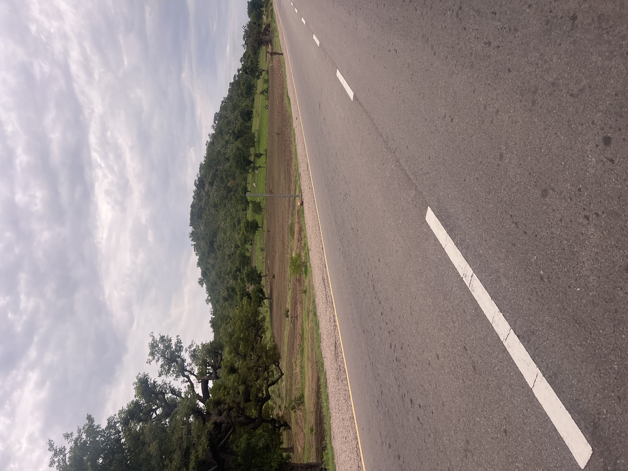 A paved road with white dashed lines stretches into the distance under a cloudy sky. On the left side of the road, a field with sparse grass and tilled earth is bordered by a gravel shoulder and large trees, one with a thick, gnarled trunk. In the background, a green, tree-covered hill rises. On the right side of the road, a lone figure stands near a large tree. The scene appears to be located in the city of Minda, Nigeria, given the vegetation and landscape.