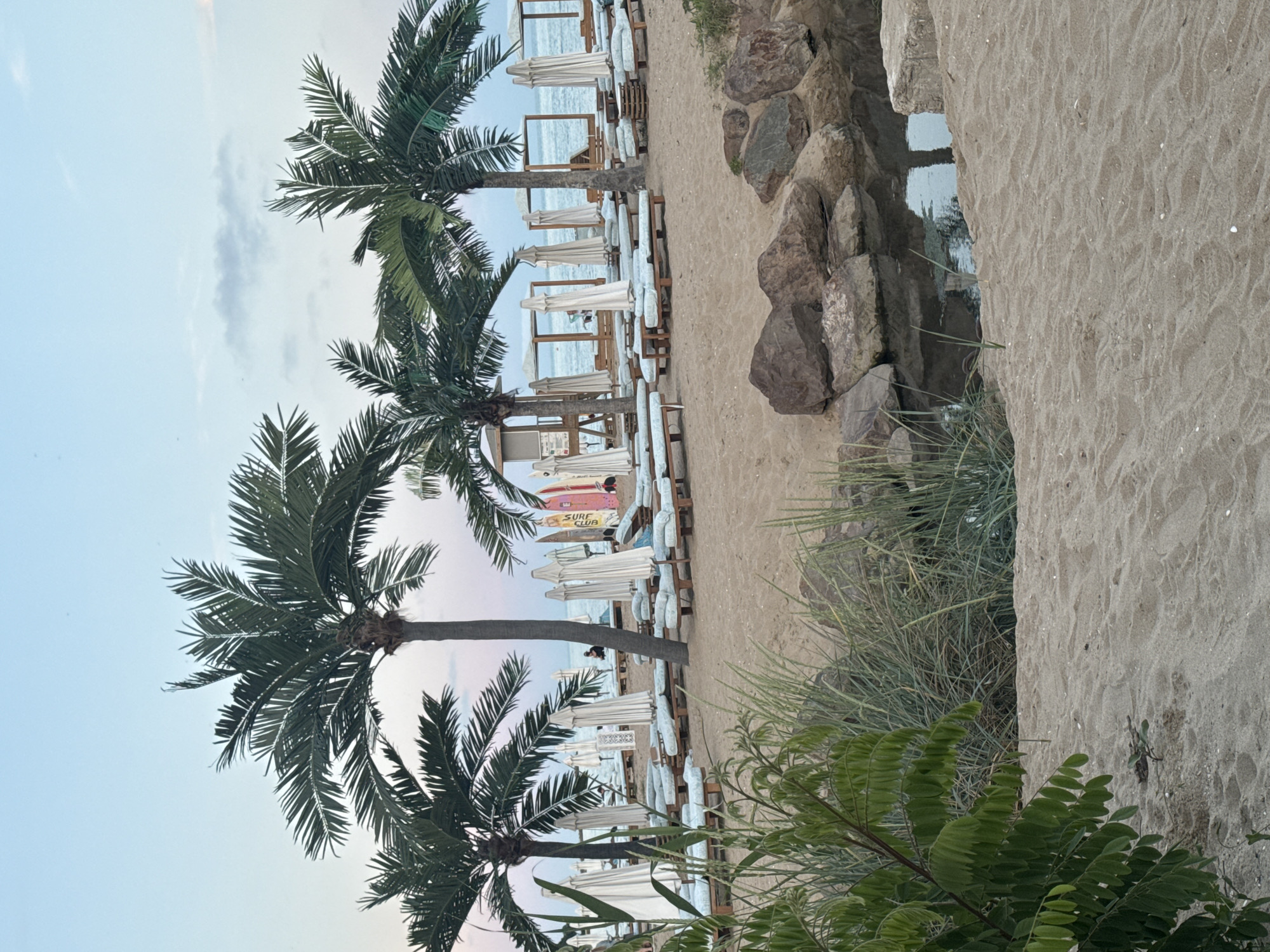 The image depicts a tranquil beach scene at dusk. Palm trees cast shadows on the sand, where rows of empty lounge chairs and closed umbrellas suggest the end of a day at the beach. A calm body of water, possibly a lagoon or a very still part of the sea, is bordered by rocks and greenery in the foreground. In the background, surfboards stand upright, hinting at recreational activities, and a lifeguard stand is visible. The sky displays soft hues of blue and pink, indicating the twilight hour. The overall atmosphere is peaceful and serene.