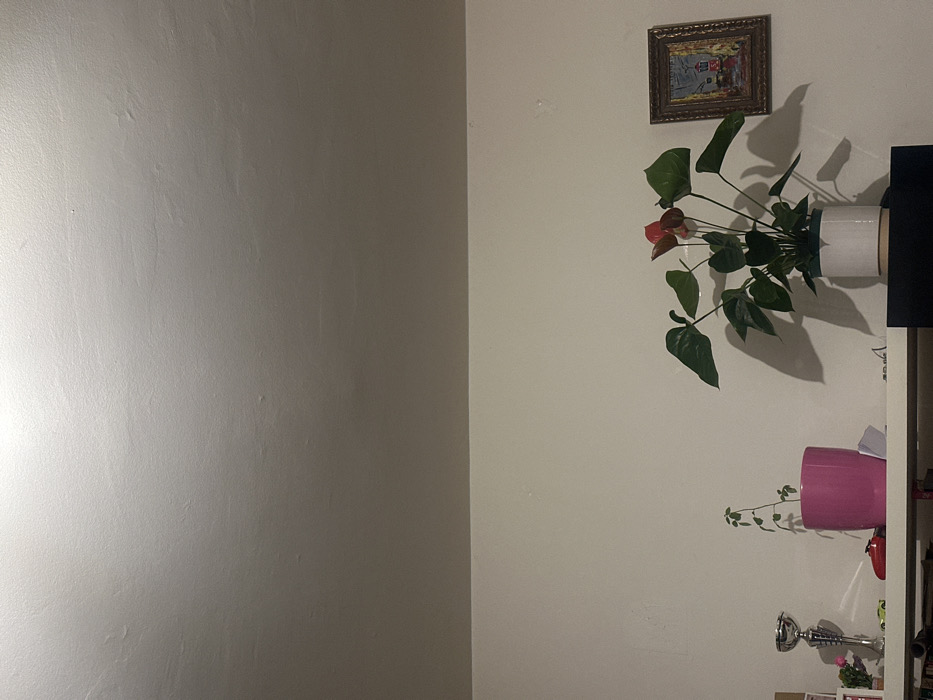 The image displays an interior room, likely a domestic setting, in Stains, France. The upper half of the frame shows a light-colored, textured ceiling, illuminated from the upper left, creating a brighter highlight. The lower half features a light-colored, textured wall. A white horizontal shelf extends across the mid-bottom of the frame, holding several items.
From left to right on the shelf:
1. A silver-colored trophy cup with a reflective finish.
2. A small, green-stemmed plant in a bright pink pot.
3. A small, red object resembling a toy vehicle or car, positioned near the pink pot.
4. A larger Anthurium plant with prominent red, heart-shaped spathes and dark green leaves, contained within a white and light brown two-toned pot. This plant casts a distinct shadow on the wall behind it.
5. A framed rectangular picture, hung on the wall to the right of the Anthurium. The frame is dark-colored and appears ornate. The artwork depicts a small building with a red roof, possibly a house or lighthouse, against a dark, muted background.
A dark-colored, possibly black, piece of furniture is partially visible beneath the right side of the white shelf. No people are present, and no actions or interactions are depicted.