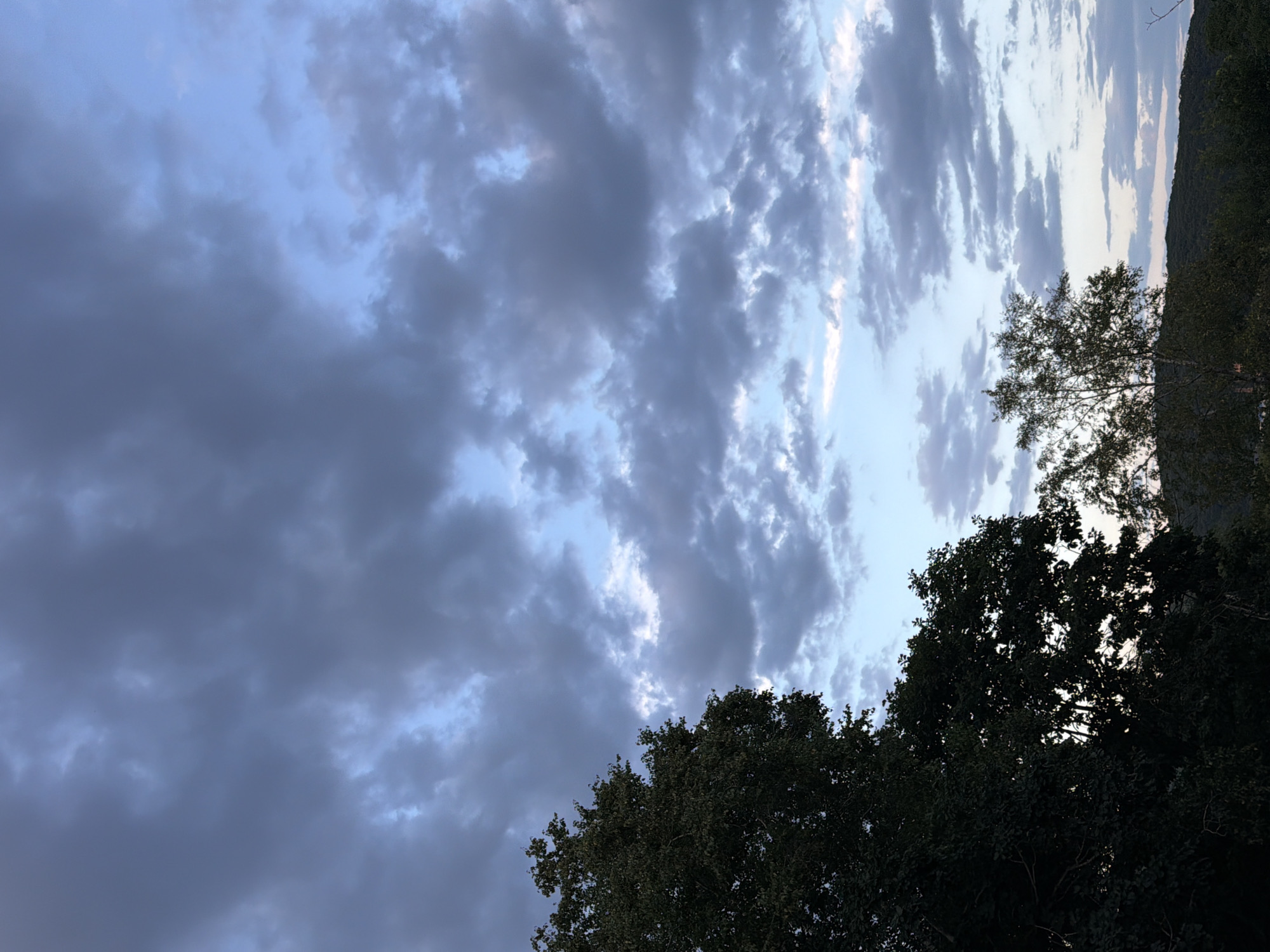 The image displays a twilight sky with scattered clouds. Dark green trees occupy the lower left and right portions of the frame, silhouetted against the lighter sky. The landscape below the trees is dark and underexposed, suggesting it is also evening or night. The sky itself is a mix of blues and grays, with some lighter areas indicating where the clouds are thinner or the last rays of sunlight are passing through. There are no discernible buildings or signs of urban life. The location is unknown.