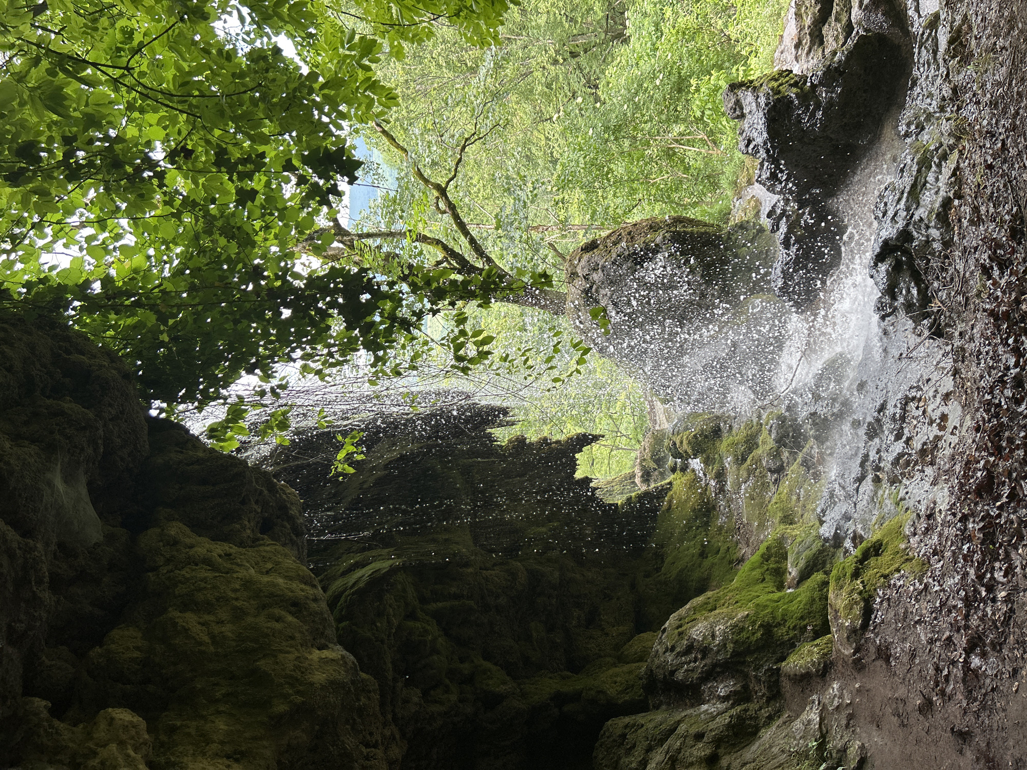 This image captures a natural scene featuring a cascading waterfall emerging from a moss-covered rock overhang, located in the city of Unknown, Unknown. The upper left of the frame is dominated by a dark, textured rock formation, heavily adorned with bright green moss, creating a natural cavern or deep overhang. From the edge of this rock, numerous streams of water fall vertically, forming a shimmering curtain of droplets illuminated by ambient light.
The falling water impacts a series of dark, wet rocks at the bottom center of the frame, creating significant splashes and white spray. Beneath the main waterfall, the ground is a mix of damp soil, dark fallen leaves, and moss-covered stones. To the immediate left of the water's impact zone, the ground is visible as a muddy path with scattered brown foliage.
To the right of the waterfall, dense, vibrant green foliage from trees forms a natural canopy, with sunlight filtering through the leaves, creating bright highlights. In the mid-ground, a slender tree trunk with exposed roots or branches grows from a rock formation, leading into a broader forest of various deciduous trees. A distant, lighter green landscape, possibly hills or mountains, is visible through the foliage under a bright sky, suggesting an expansive natural environment beyond the immediate scene. No people or animals are present.