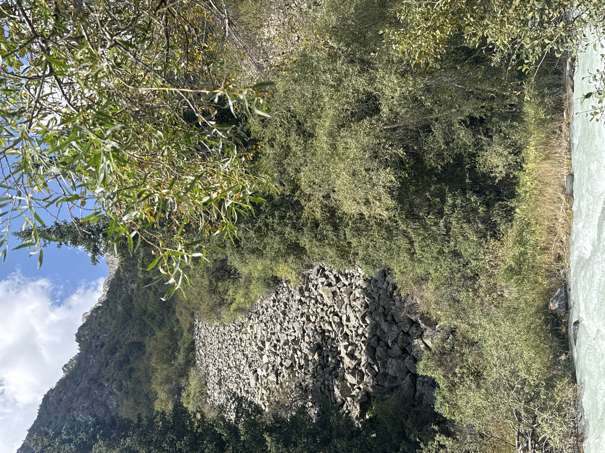An overview shot captures a rocky mountain slope covered in large, grey boulders that have cascaded down, forming a scree field. This field is densely bordered by a variety of green trees and shrubs, some of which are lush and full, while others appear sparser. The trees at the base of the slope and along the riverbank are particularly vibrant. In the foreground, a bright, turquoise river flows rapidly over rocks, its surface churned and white with movement. The sky above is partly cloudy with patches of blue. The scene is a natural, outdoor landscape, likely in a mountainous region of Kyrgyzstan.