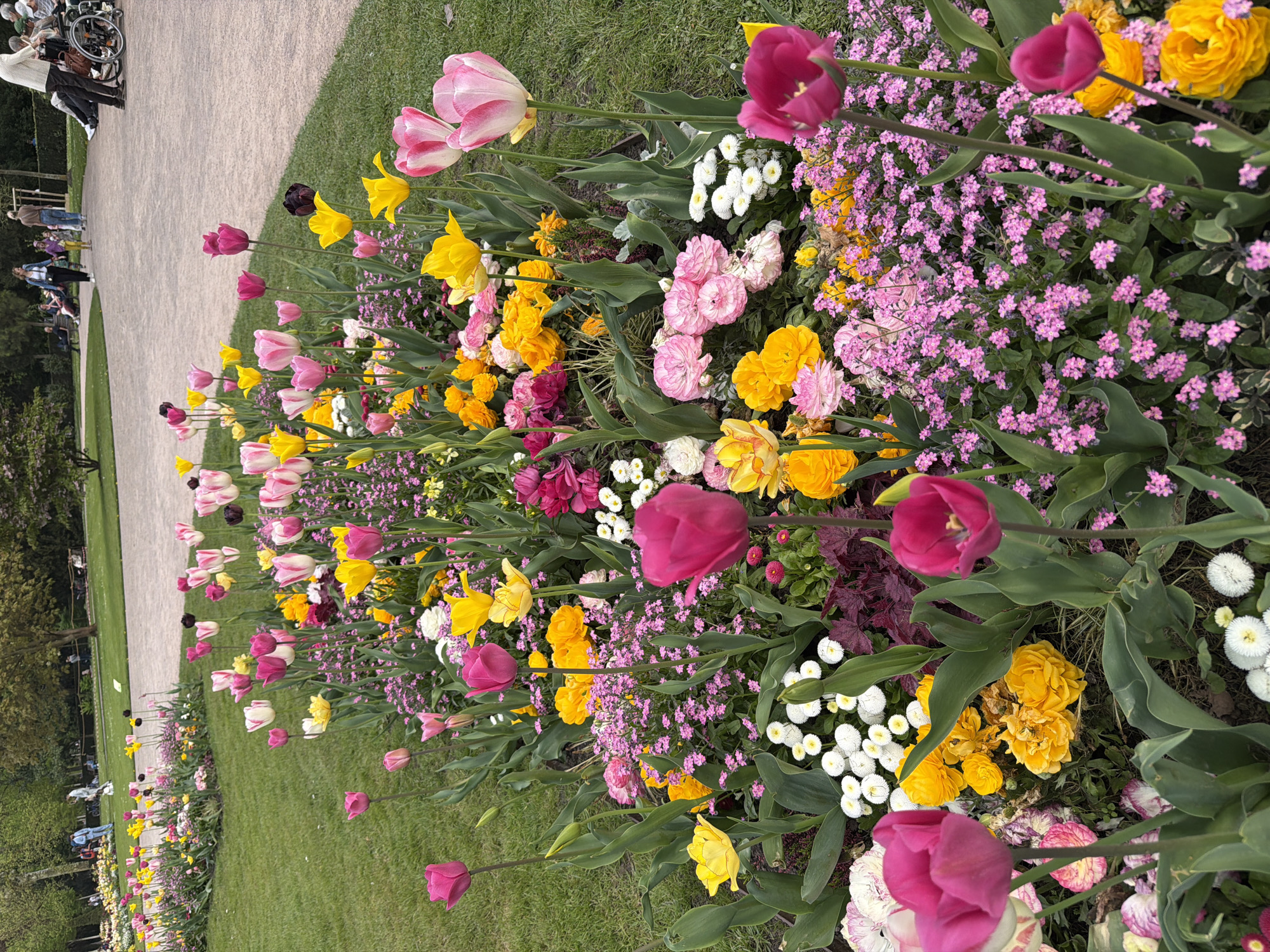The image shows a flower bed in Strasbourg, France. The bed contains a variety of flowers including tulips (pink, yellow, and red), pink wildflowers, yellow double petal flowers, and small white flowers. The flower bed is positioned along a grassy area with a path visible in the background, where people are walking. In the distance, trees can be seen.