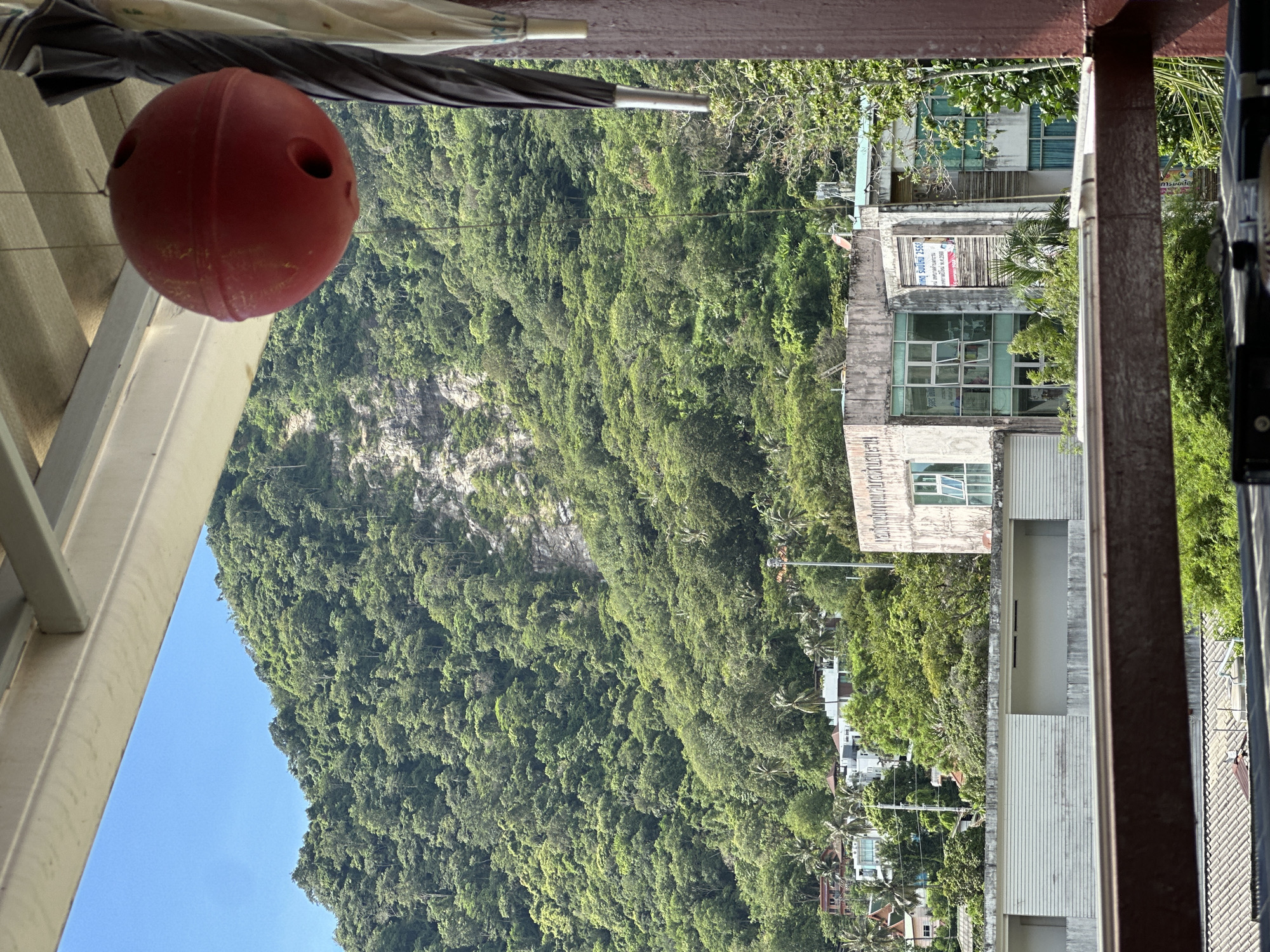 This media file depicts a view from a balcony overlooking a densely vegetated mountainside and a town. The subjects include a red ball hanging from an unseen object, which appears to be a sports ball, and parts of buildings with multiple stories, some with windows and awnings. The scene is set in a tropical environment, suggested by the lush green foliage and palm trees. The sky is clear and blue, indicating fair weather and daytime.
Notable details include the texture of the mountainside, which shows rocky outcrops interspersed with trees, and the architecture of the buildings, which seem to be in a coastal town. The buildings are varied in design and condition, with some appearing older and weathered, while others seem more modern. There are electrical wires visible, suggesting an inhabited area.
The image is oriented vertically, with the top of the scene at the bottom and the bottom at the top. A partial view of an umbrella or awning is visible at the very top of the frame.
Visible text includes what appears to be signage on one of the buildings, written in a foreign script, possibly Thai, due to the location context provided. One sign appears to read "KING SUDASU 2567," with a graphic element that could be a logo or advertisement. Another sign further down the street also appears to be in Thai.
The overall impression is a snapshot of a vibrant, sunlit day in a tropical locale, offering a glimpse into the residential and natural landscape of Karon, Thailand. There are no people or overt activities depicted, but the presence of buildings and infrastructure suggests a populated area. The emotions evoked are likely those of tranquility and perhaps a sense of discovery, given the scenic view.