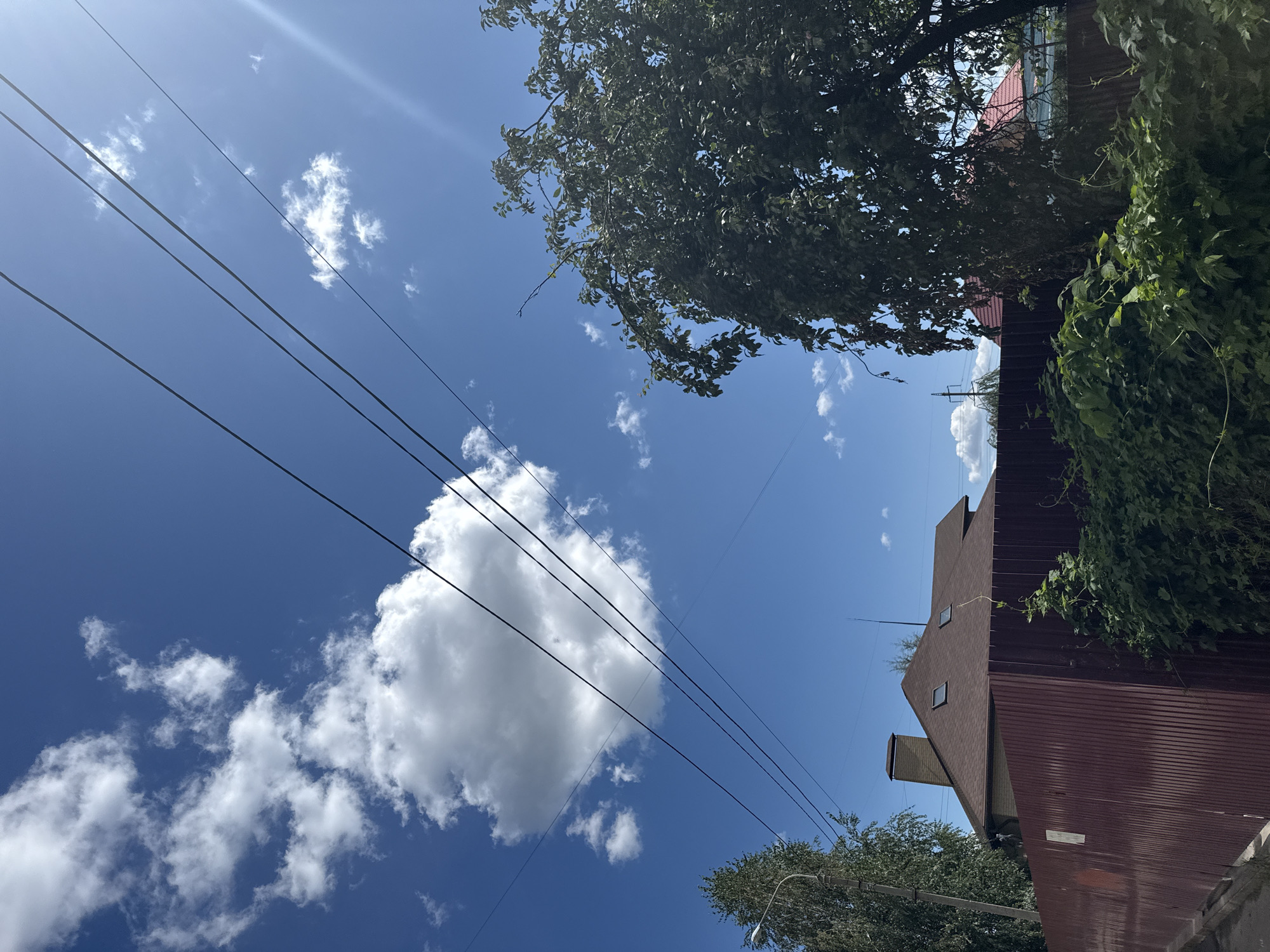The image depicts a residential scene on a clear, sunny day with a vibrant blue sky scattered with white, fluffy clouds. Overhead, several dark power lines crisscross the frame diagonally. In the foreground, a tall, maroon corrugated metal fence runs along the bottom of the image, partially obscured by lush green foliage and vines growing along its top and side. Beyond the fence, the roof of a house is visible, characterized by its brown, shingled surface and two dormer windows. A prominent brick chimney with a brown cap extends from the roof. To the left of the house, a tall tree with green foliage stands, and to the far left, a street lamp is visible. On the right side of the frame, a large, leafy tree with dark green foliage overhangs the scene. The setting appears to be a suburban or semi-rural area in Zaporizhzhia, Ukraine, given the architectural style and vegetation. No people or overt actions are depicted in the image.