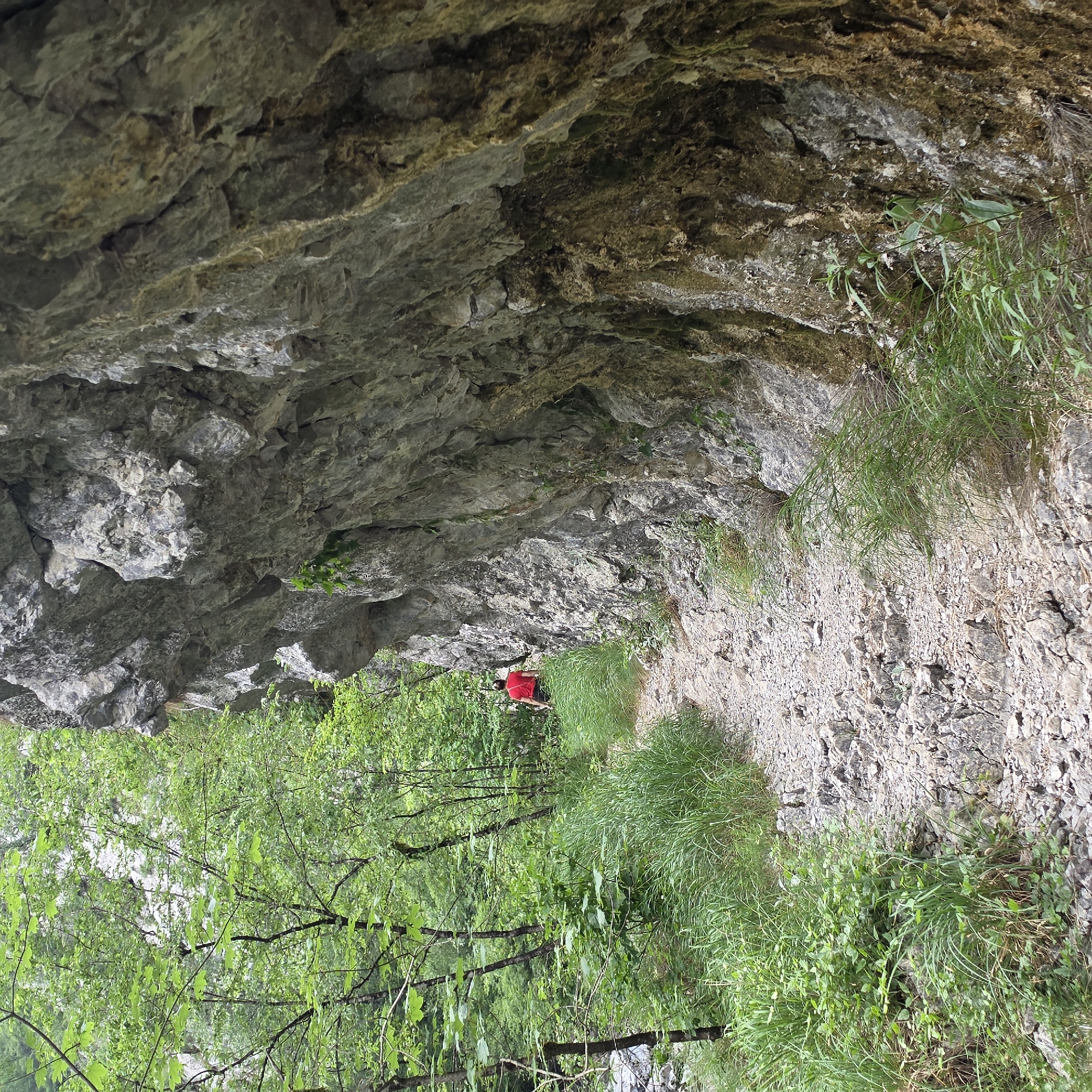 The image shows a rock overhang in what appears to be a natural environment, likely a mountainside. The rock is textured and varies in color. Vegetation, including grasses and trees with green leaves, grows from the ground and the rock face. A person wearing a red shirt is visible further along the path. The image is taken in Lazba, Montenegro.