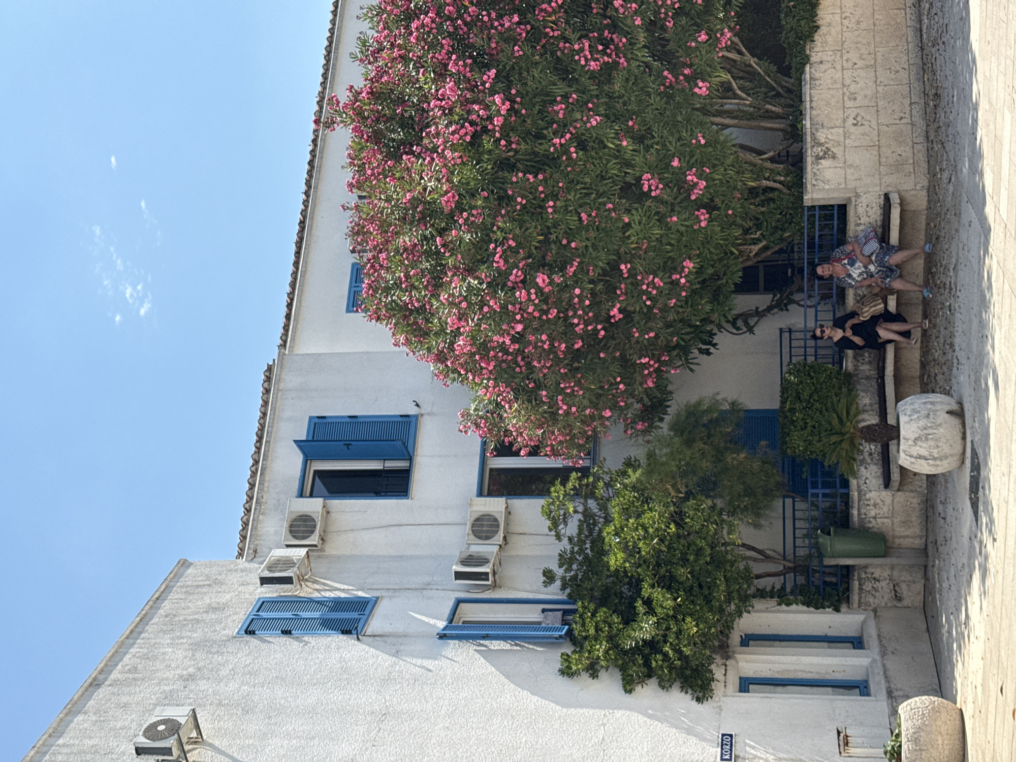 Two women are sitting on a bench in front of a building. One woman is wearing a black dress, and the other is wearing a blue and white floral dress. Both women are looking forward. A large tree with pink flowers is behind the bench, and a building with blue shutters is behind the tree. There are air conditioning units on the side of the building. The scene appears to be outdoors on a sunny day. The sign on the building reads "KORZO," which is a promenade or main street in some cities, potentially indicating a public area in Budva, Montenegro.
