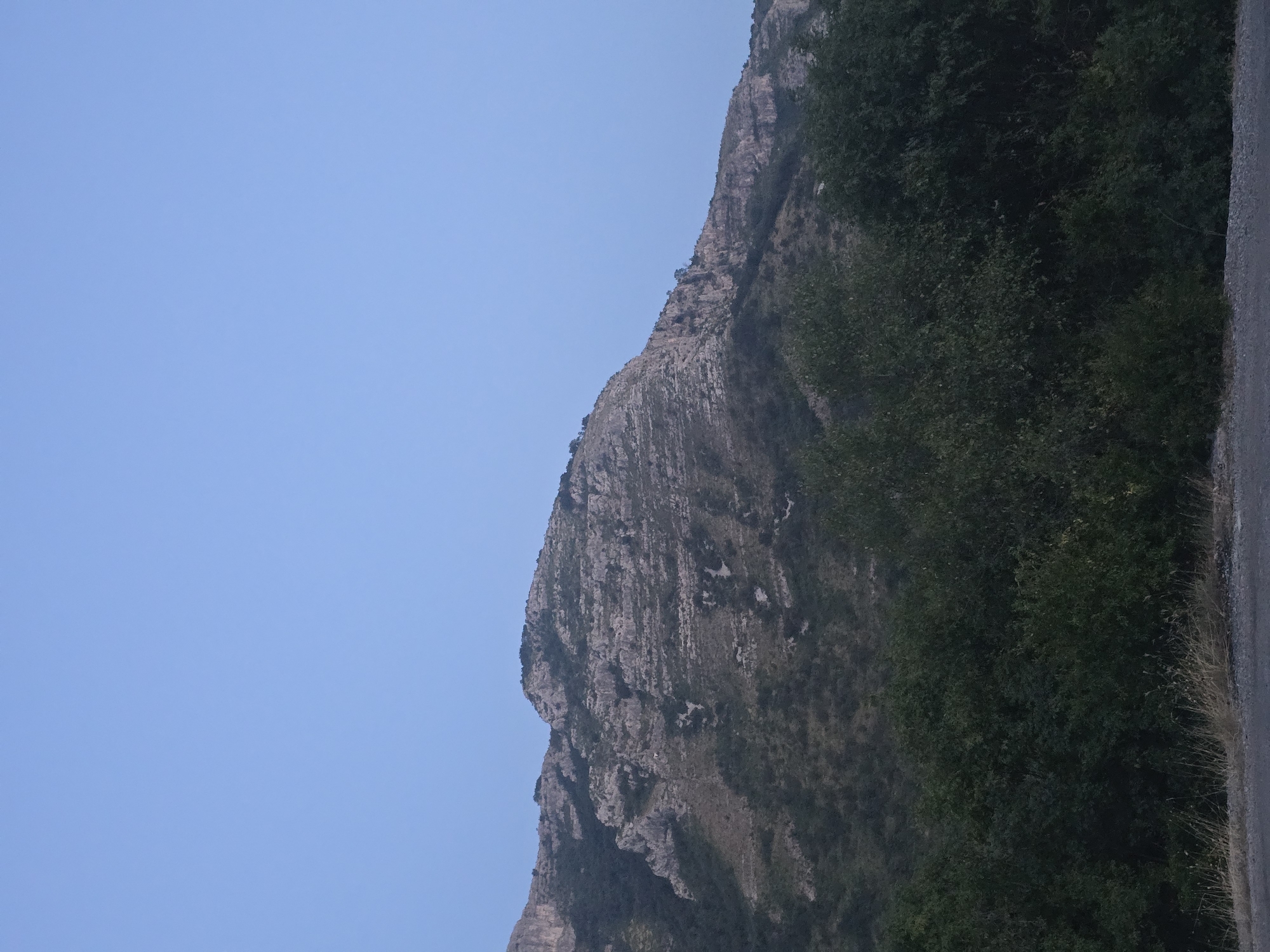 A scenic view shows a rugged, layered mountain range under a clear, pale blue sky. The mountain slopes are covered in sparse vegetation, with rocky outcrops and terraces visible. In the foreground, a dense line of dark green trees and bushes forms a thick natural barrier. Beyond the trees, a patch of dry, light-colored grass and some gravel is visible, with a dark, possibly paved surface in the very bottom of the frame, suggesting a roadside or pathway. The image captures a natural landscape with no human presence. This scene is likely located in the vicinity of Klopot, Montenegro, a region known for its mountainous terrain.