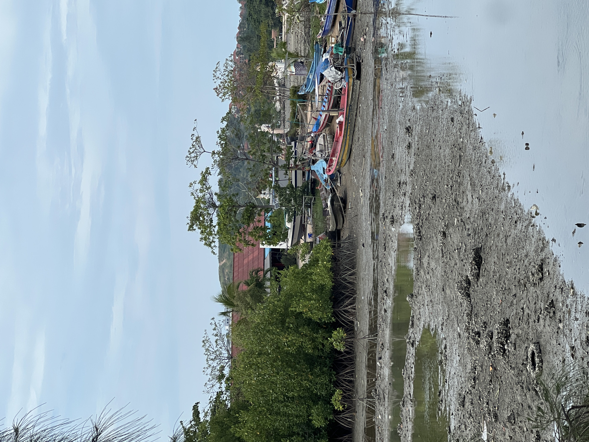The image depicts a tidal mudflat at Baan Plai Laem, Thailand. Several small, brightly colored fishing boats are beached on the mudflat. Mangrove trees line the shore. Buildings, including some with red roofs, are visible in the background, rising up a small hill. The sky is overcast. The mudflat reflects the sky and surrounding vegetation.