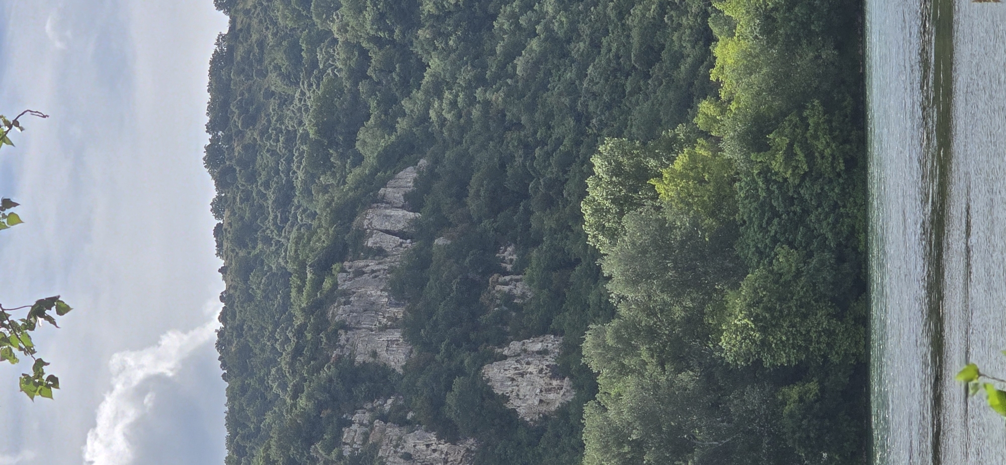 This is a vertical, eye-level, full shot of a lush, green forested hillside rising steeply from a tranquil body of water. The water, which takes up the bottom 20% of the image, is a calm, blue-green with subtle ripples. The hillside is densely covered in a variety of trees, with a prominent rocky cliff face visible in the mid-ground. The cliff is light gray and textured, with evidence of erosion and weathering. The sky above is a pale blue with scattered white clouds, and the top of the image is framed by the leaves of a tree branch. The scene conveys a sense of natural beauty and serenity.