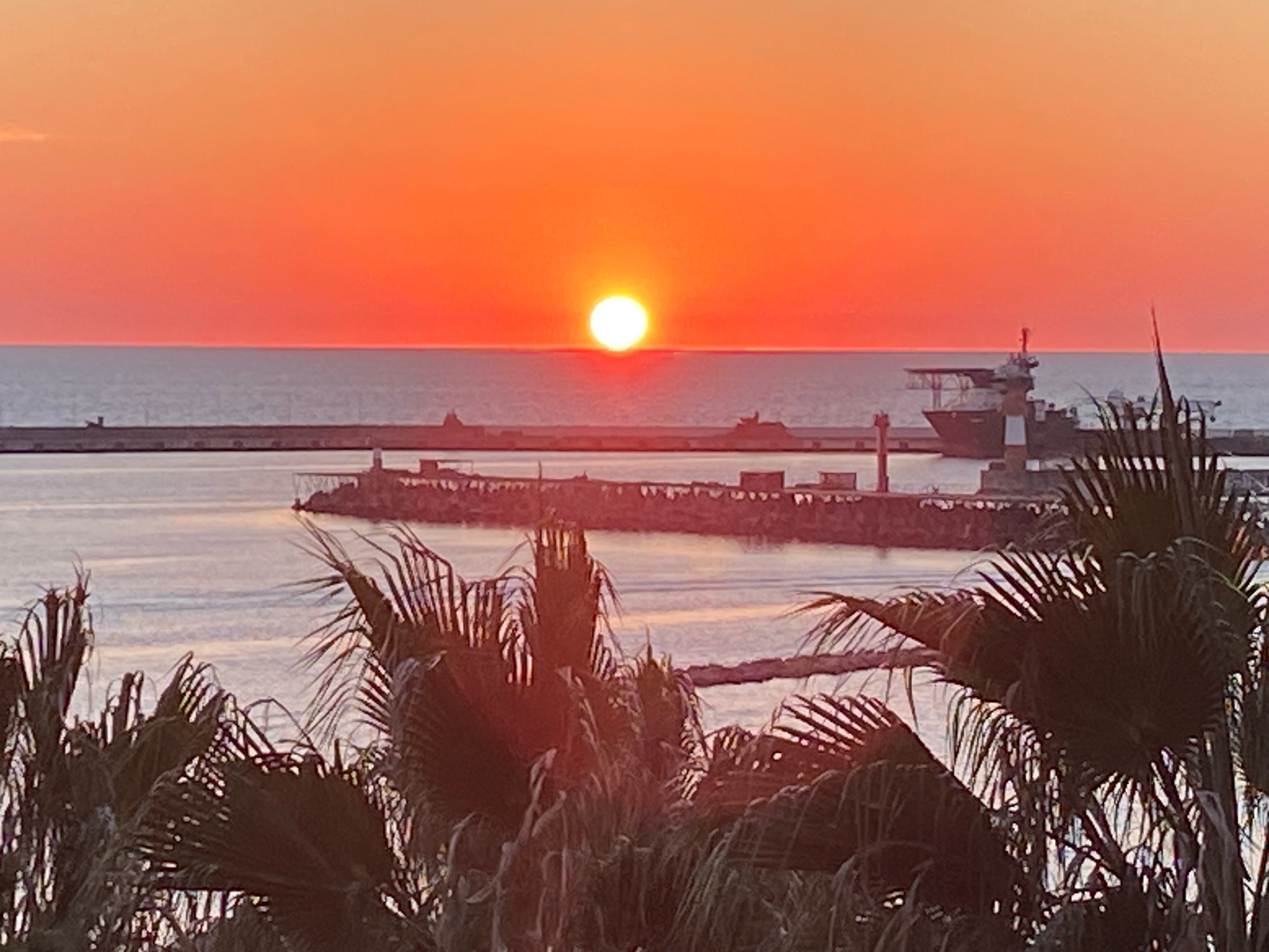 The image depicts a sunset over the Black Sea, viewed from a vantage point within or near the city of Sochi, Russia. The sun, a bright orb, is positioned near the horizon, casting a vibrant orange and red glow across the sky and reflecting on the calm water. In the middle ground, a breakwater structure extends into the sea, with a lighthouse or similar structure visible near its end. A ship, possibly a research vessel or a tugboat, is docked near the breakwater. The foreground is dominated by the dark silhouettes of palm tree fronds, suggesting a coastal or tropical setting within Sochi's southern climate. The overall atmosphere is serene and picturesque, characteristic of a sunset over a body of water. There are no people visible in the frame.