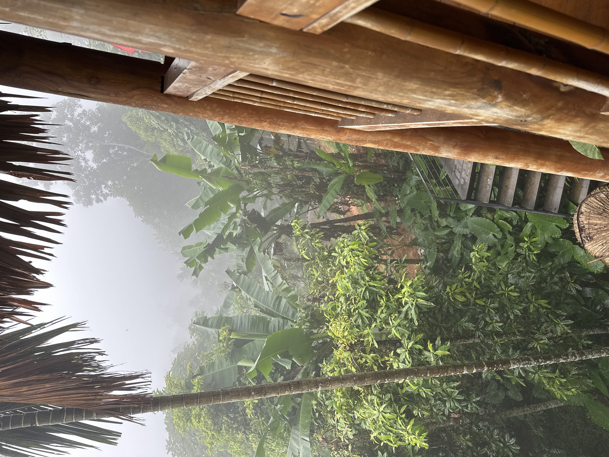 A high-angle, full shot captures a view from a wooden structure overlooking a misty, verdant landscape in Pù Luông Commune, Vietnam. The foreground is dominated by the rustic textures of the wooden structure, with its natural bamboo railings and thick wooden posts. Beyond the railing, a palm tree trunk stands tall on the left, its fronds extending towards the top of the frame. Dense tropical foliage, including large banana leaves and smaller leafy plants, fills the midground. A wooden staircase with metal railings descends into the greenery on the left side of the frame. The background is a soft, hazy expanse of fog, obscuring distant trees and creating an ethereal atmosphere. The scene suggests a tranquil, natural setting, likely a homestay or eco-lodge, given the presence of the viewing platform and staircase.