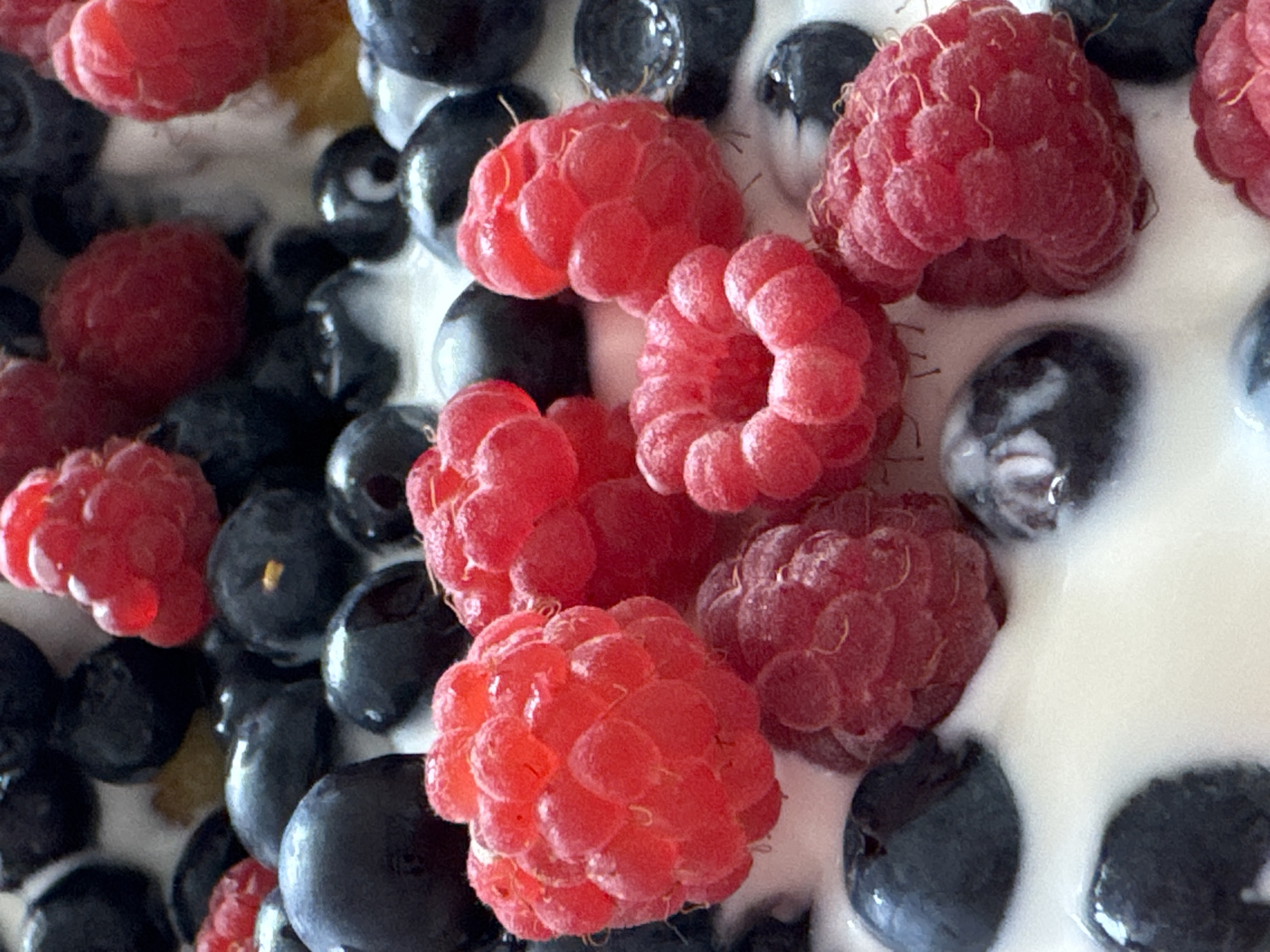 The image is a close-up, overhead shot of a bowl of yogurt topped with fresh raspberries and blueberries. The berries are plump and vibrant, with the red raspberries contrasting sharply with the deep blue of the blueberries. The yogurt appears creamy and smooth. The scene is likely a breakfast or snack, and the berries are arranged artfully on top of the yogurt. There are no people or animals visible in the image, and no indication of the location being Ladozhskoe Ozero, Russia.
