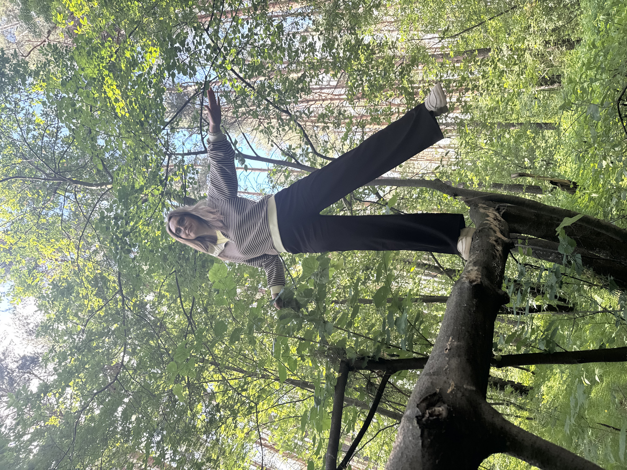 A full-shot, low-angle, outdoor photograph captures a Caucasian woman with blonde hair and glasses standing on a fallen tree trunk in a forest. She is wearing a horizontally striped long-sleeved sweater in shades of brown and cream, and black wide-leg pants. Her arms are extended horizontally, with her left hand reaching out and her right hand slightly lowered. The woman's feet are clad in white sneakers. The background is a dense forest with lush green foliage and tall trees, bathed in sunlight filtering through the canopy. The image was taken in the city of Chaikovsky, Russia.