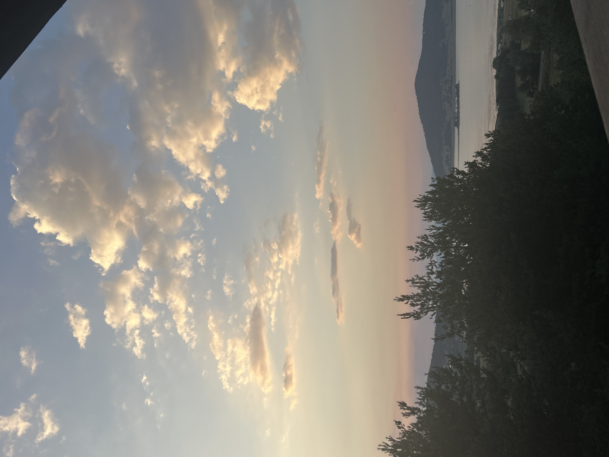 The image depicts a serene natural landscape at sunset, likely from a high vantage point overlooking the city of Batak, Bulgaria. In the foreground, dark silhouettes of pine trees dominate the lower portion of the frame, their branches reaching upwards. Beyond the trees, a body of water, possibly Batak Reservoir, stretches towards a large, dark, mountainous landmass in the background. The water reflects the soft hues of the sunset. A small island or peninsula juts into the water from the left side of the frame. The sky above is a gradient of pale blue, transitioning into soft pinks and oranges closer to the horizon, with scattered, illuminated clouds catching the last rays of sunlight. The overall impression is one of tranquility and natural beauty during the twilight hours.