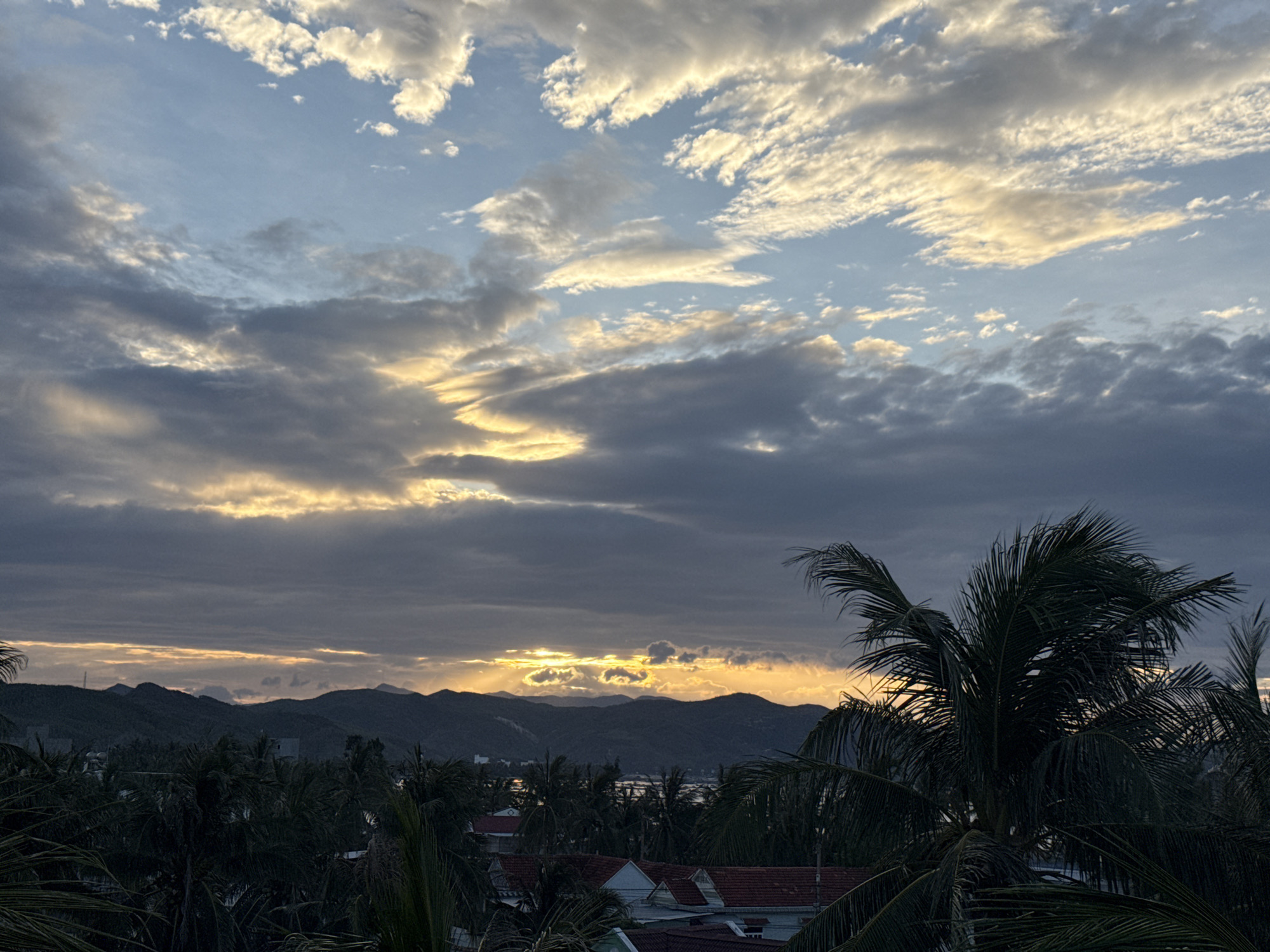 A wide-angle, eye-level shot captures a dramatic sunset over the coastal city of Song Cau, Vietnam. The sky is filled with a complex tapestry of clouds, ranging from dark, brooding grays to wispy, illuminated whites and vibrant yellows. These clouds form an intricate pattern, with streaks of golden light breaking through in places, hinting at the sun's position just beyond the horizon.
In the middle ground, a silhouette of dark, undulating mountains stretches across the landscape. Nestled amongst the foothills are hints of buildings and structures, partially obscured by the foliage. The foreground is dominated by the dark, lush fronds of palm trees, framing the scene and adding a tropical element. Red-tiled roofs of several houses are visible beneath the palm trees, suggesting a residential area. The overall impression is one of a beautiful, natural twilight scene in a coastal Vietnamese city.