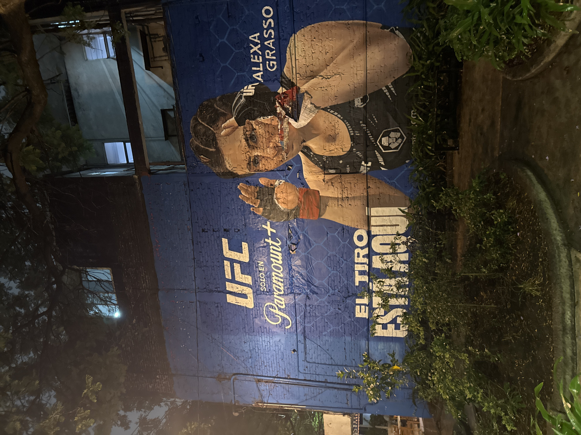 The image shows a mural on the side of a building featuring Alexa Grasso, a female mixed martial artist, promoting UFC and Paramount+. The mural is painted on a brick wall with some peeling paint. The text “Alexa Grasso” and "UFC Solo En Paramount+" are visible. The phrase "El Tiro Esta Aqui" is also displayed. Green plants are growing at the base of the wall. The building behind the mural has windows and what appear to be metal supports. The setting appears to be an urban environment, and based on the promotional text, the location is in Mexico City, Mexico. It's nighttime, and the lighting is from streetlights.