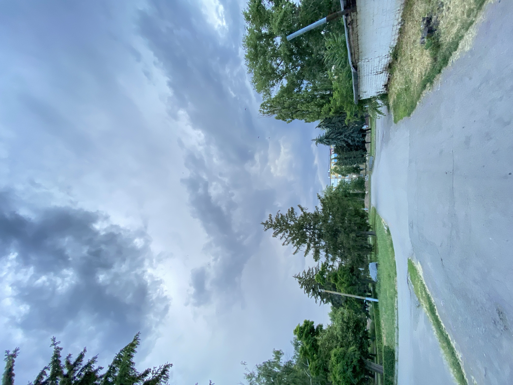 The image captures a low-angle, vertical perspective of a street scene under a cloudy sky. The foreground features a paved road that curves to the right, with a strip of dry, light-green grass bordering it on the right. To the left of the road is a patch of well-maintained green grass, with manicured hedges. A few scattered trees, predominantly evergreens, are visible in the mid-ground, along with some deciduous trees with lush green foliage. In the distance, a multi-story building with a light-colored facade and blue accents can be seen. The sky is filled with dramatic, dark gray storm clouds, interspersed with patches of lighter sky. Several small birds are visible flying in the sky. On the right side of the image, a white brick wall with a corrugated metal roof is prominent, appearing weathered. A light blue pole extends vertically from behind the wall, partially obscured by foliage.