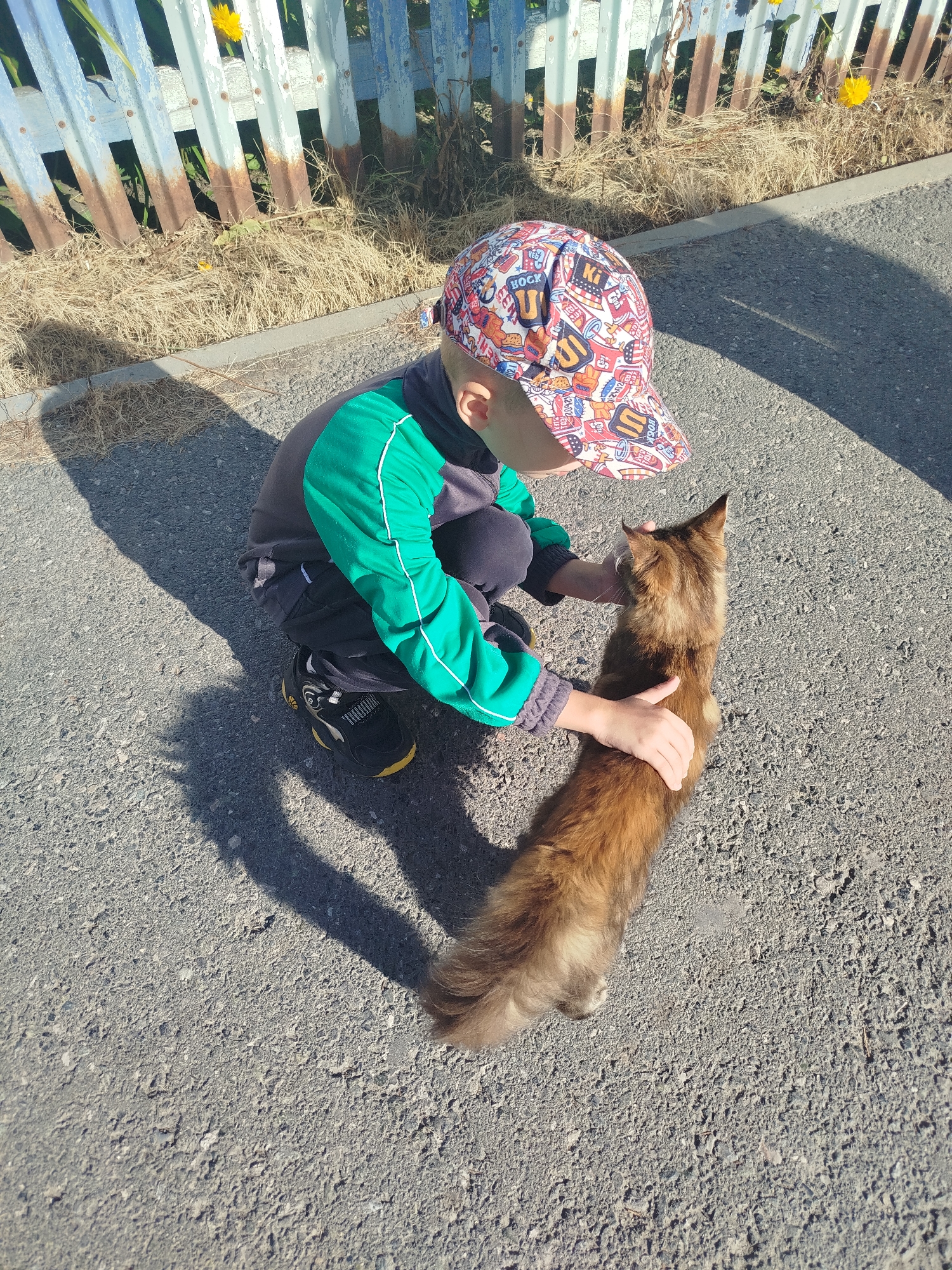 A young boy wearing a colorful baseball cap and a green and gray jacket is kneeling on an asphalt surface, interacting with a long-haired, reddish-brown cat. The boy has his hands on the cat's back. The scene is outdoors, with a weathered, light blue and brown fence visible in the background. Dry grass and some yellow flowers are present near the fence. The ground is a textured asphalt, with a prominent shadow cast from the boy and cat onto it. The image appears to be taken during daylight, with bright sunlight.