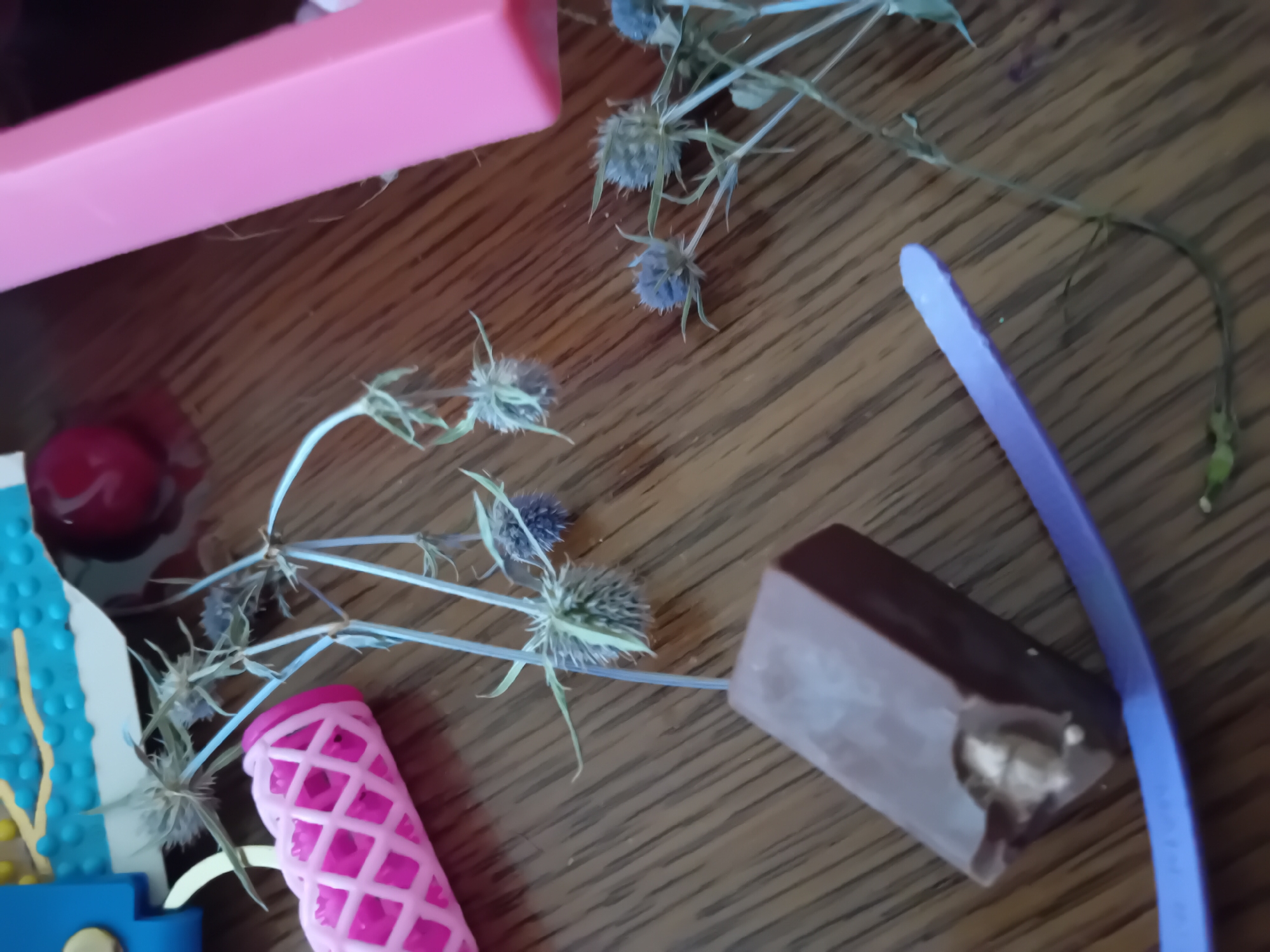 This close-up image displays a collection of objects arranged on a wooden surface. The primary subjects are several dried thistles with their distinctive spiky seed heads, a half-eaten chocolate bar with a bite taken out of it, a bright pink patterned object that resembles an ice cream cone, and a long, thin purple object. A portion of a pink rectangular object, possibly a container, is visible in the upper left corner. Another object, a blue and yellow toy with raised dots and a circular metallic element, is partially visible on the left side. Two small red spherical objects, perhaps cherries or beads, are also present.
The arrangement suggests a still life, possibly staged for a photograph. There is no indication of a specific activity or event taking place beyond the static arrangement of these items. The lighting appears to be indoor, with shadows suggesting an overhead light source. The wooden surface has a prominent grain pattern.
Notable details include the textured surfaces of the thistles and the pink patterned object, the smooth, reflective surface of the chocolate, and the sheen on the red spheres. There is no visible text in the image. The location context of Chuhuiv, Ukraine, is provided but not visually evident from the image itself. The overall mood is neutral, focusing on the visual composition of the objects.