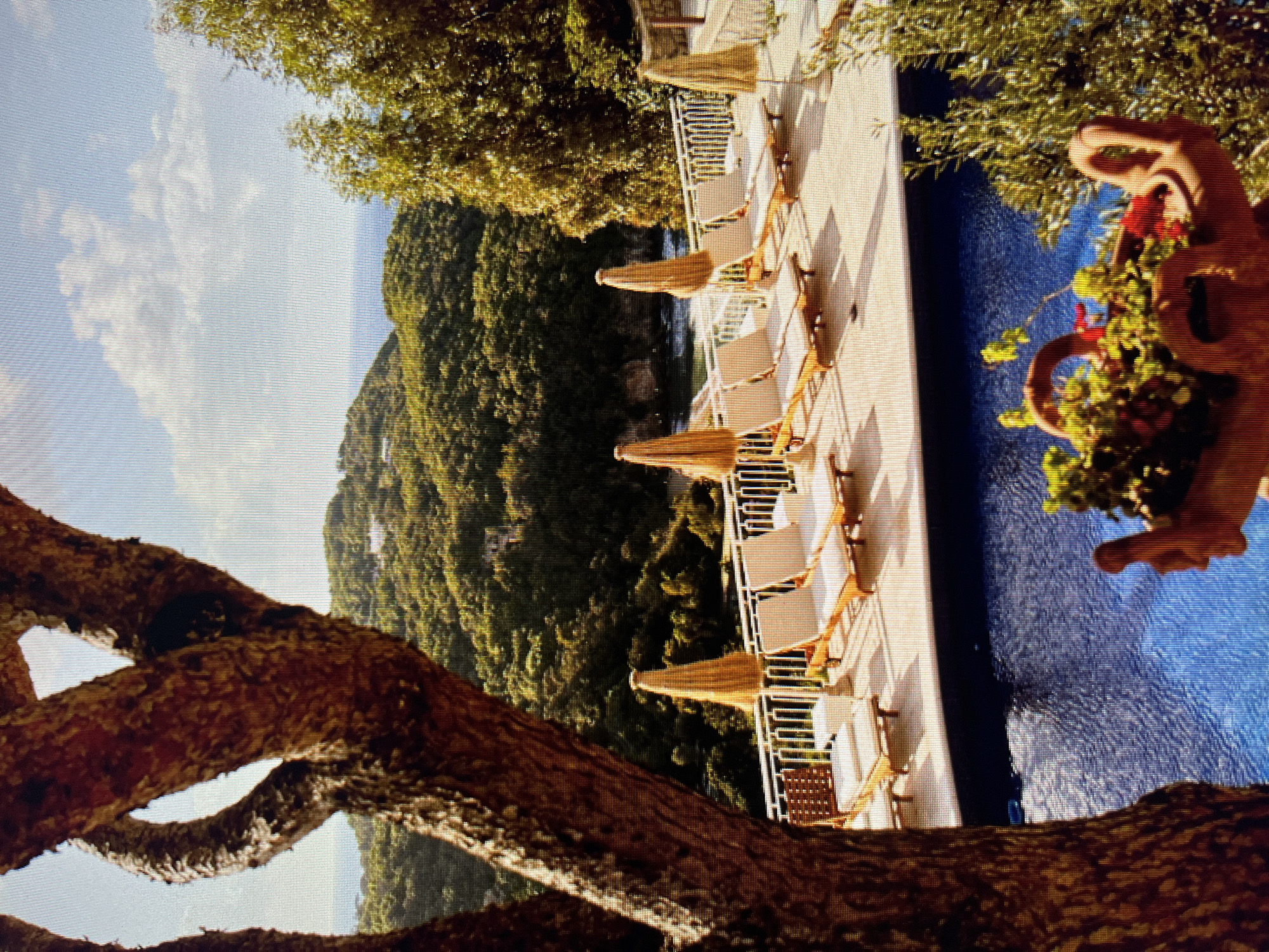 The image depicts a scenic view from a balcony overlooking a lush, green hillside that slopes down to the sea. In the foreground, a large tree trunk with rough bark partially obscures the view on the left. Adjacent to the balcony railing, several lounge chairs with beige cushions and straw umbrellas are arranged on a paved patio. A vibrant blue swimming pool occupies the lower part of the frame. The background features rolling hills covered in dense green foliage, with glimpses of the ocean and sky with scattered clouds. A terracotta planter filled with greenery and red flowers is visible in the bottom right corner. There are no people present in the image. The scene appears to be a resort or a private residence in a warm climate. The location is not Łódź, Poland, as this description does not align with the typical landscape or architecture of that city.