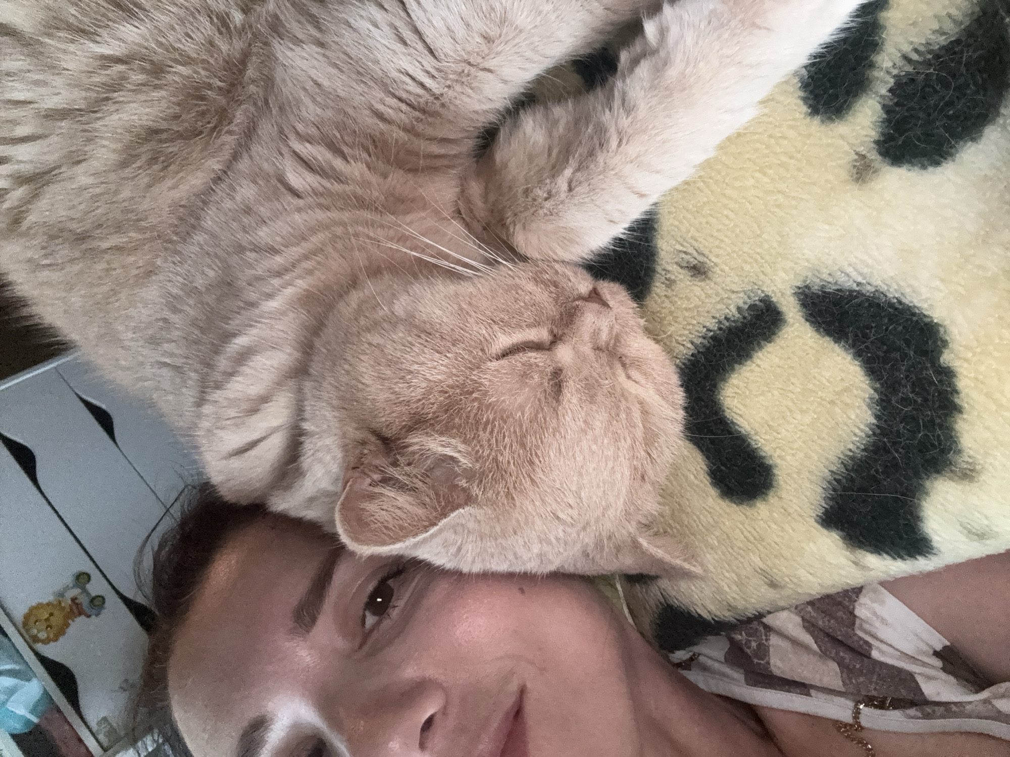 A close-up, overhead shot shows a person and a light-colored cat lying together. The person's face is visible in the upper portion of the image, with their eyes open and looking towards the camera. The cat is nestled against the person, with its eyes closed and its head resting on its paws. The cat appears to be sleeping soundly. Both the person and the cat are lying on a yellow and black patterned blanket. The overall mood of the image is peaceful and intimate. The scene is not recognizable as any specific location within a city.