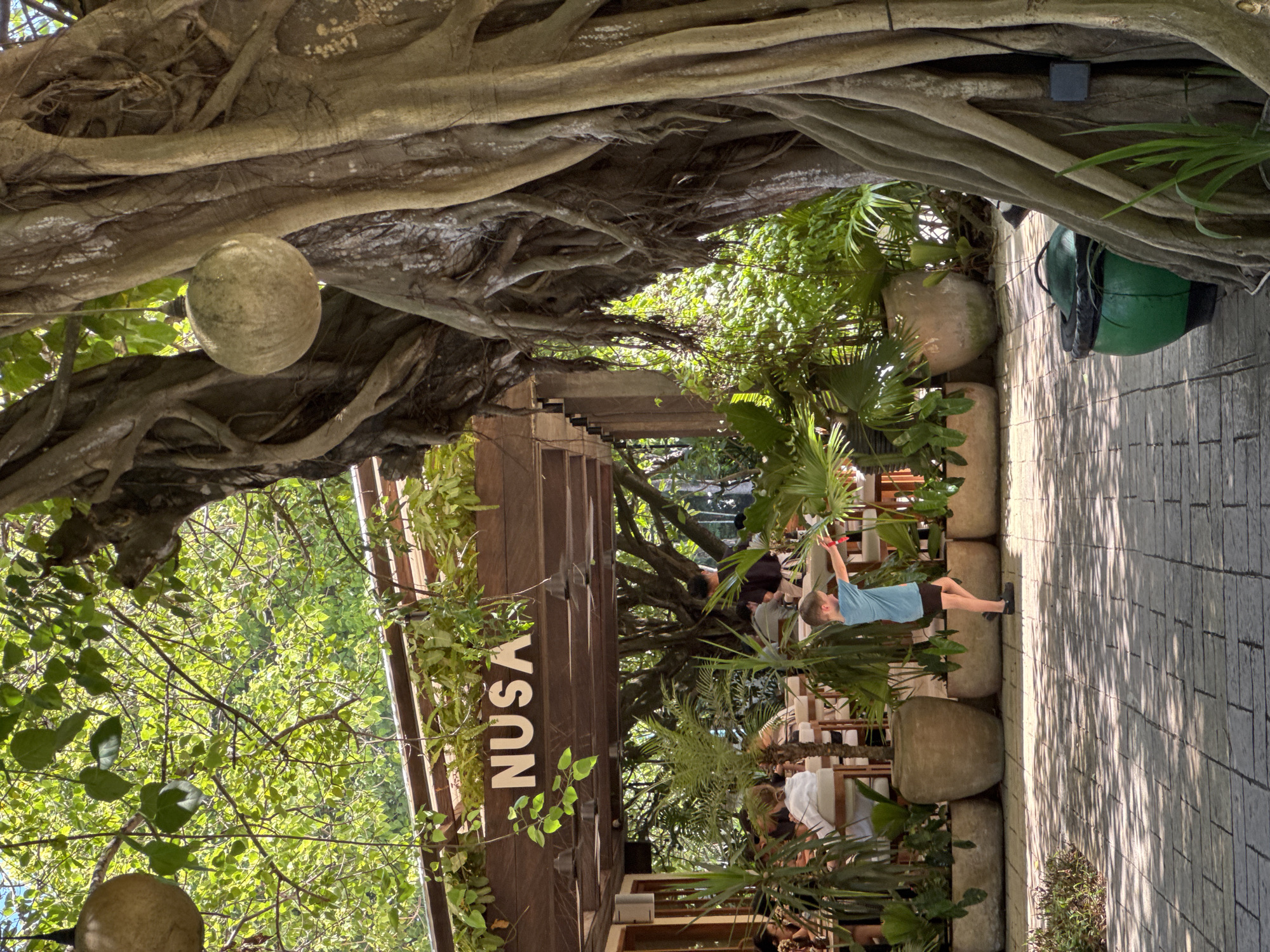 The image depicts the outdoor seating area of a restaurant or cafe called "NUSA" in Kuta Selatan, Indonesia. A young boy in a blue t-shirt and black shorts is standing in the foreground, facing away from the camera, and appears to be playing with a red object. He is on a paved walkway with a repeating brick pattern, cast in dappled sunlight. Behind him, a series of large potted plants and planters are arranged along the edge of the seating area. The seating area itself is covered by a wooden roof supported by pillars, with tables and chairs visible and several patrons seated. Lush green foliage and trees are abundant throughout the scene, with a large, gnarled tree trunk dominating the right side of the frame. Two spherical, pendant light fixtures hang from branches, one visible on the left and another on the right near the large tree. A green trash receptacle is situated near the base of the tree. The overall atmosphere suggests a tropical, relaxed dining environment.