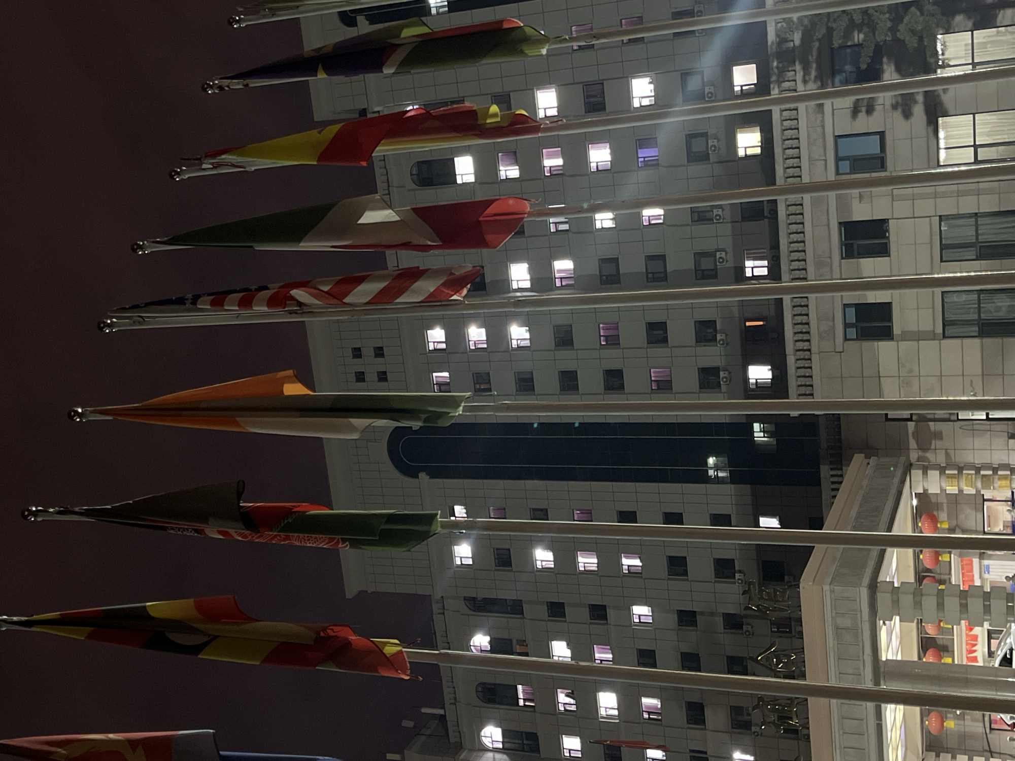 This image depicts the exterior of the Changchun Hotel ("长春饭店") at night, located in Changchun City, China. The scene is dominated by a row of approximately ten national flags flying on tall, light-colored poles against a dark, purplish-red night sky. Identifiable flags, from left to right, include those resembling Germany, Afghanistan, India, the United States, Italy, Ethiopia, and South Africa.
The multi-story hotel building in the background features a light-colored, possibly off-white, facade with a grid pattern of numerous windows. Many of these windows are illuminated, primarily with bright white light, though some exhibit a purple hue. Air conditioning units are visible beneath several windows on the upper floors. Architectural details include arched windows and a prominent dark, tall vertical recess or section on the building's upper portion. Below, a grand entrance canopy is supported by rectangular pillars. Multiple red Chinese lanterns with yellow tassels hang beneath this canopy. Large, golden Chinese characters spelling "长春饭店" are affixed to the facade directly above the entrance canopy. A dark tree's foliage is partially visible on the far right, casting shadows on the building. No discernible individuals or explicit actions are present in the frame. A small portion of a vehicle's roof is visible near the entrance.