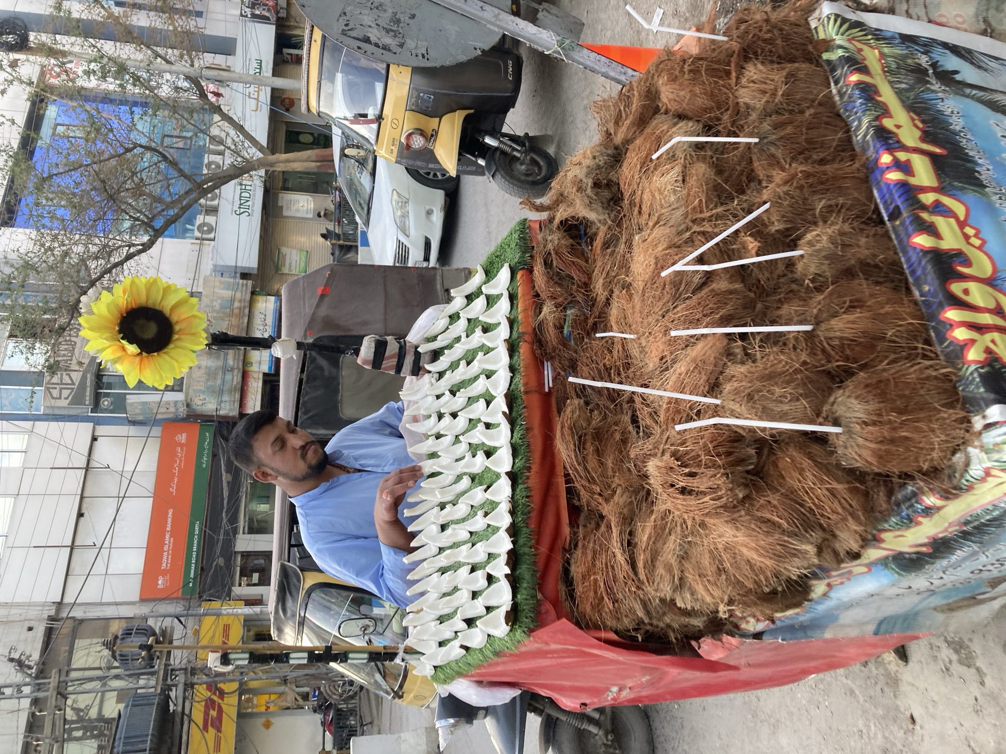 A street vendor in Quetta City Tehsil, Pakistan, is depicted behind a mobile stall laden with coconuts. The main subject is a man with a beard, wearing a light blue shirt, who appears to be preparing or selling coconuts. He stands behind a display featuring numerous white, peeled coconut pieces neatly arranged on a green faux-grass mat. To his right, the cart is piled high with whole coconuts still in their fibrous husks, many with white drinking straws inserted, indicating they are ready for consumption. A red tarp covers the front edge of the cart, and a large, artificial yellow sunflower is attached to its side.
The scene is set on an urban street with various buildings in the background. A yellow auto-rickshaw, marked "CNG," and a white car are parked nearby. Overhead power lines crisscross the sky. The time of day appears to be daylight, with clear but possibly slightly overcast weather, as evidenced by the soft lighting.
Visible text on the surrounding buildings provides strong location cues: "BOP TAQWA ISLAMIC BANKING," with "THE BANK OF PUNJAB" below it, and "M.A. JINNAH ROAD BRANCH QUETTA" confirming the city. Urdu script reiterates "تقوی اسلامک بینکنگ" and "ایم اے جناح روڈ برانچ کوئٹہ." Other signs show "SINDH," "SA GAR," "محمد خان حج سر" (Muhammad Khan Hajj Sir), and "ليم تاريل والا" (possibly Lime Tariel Wala). The overall atmosphere suggests a typical busy commercial area in Pakistan.