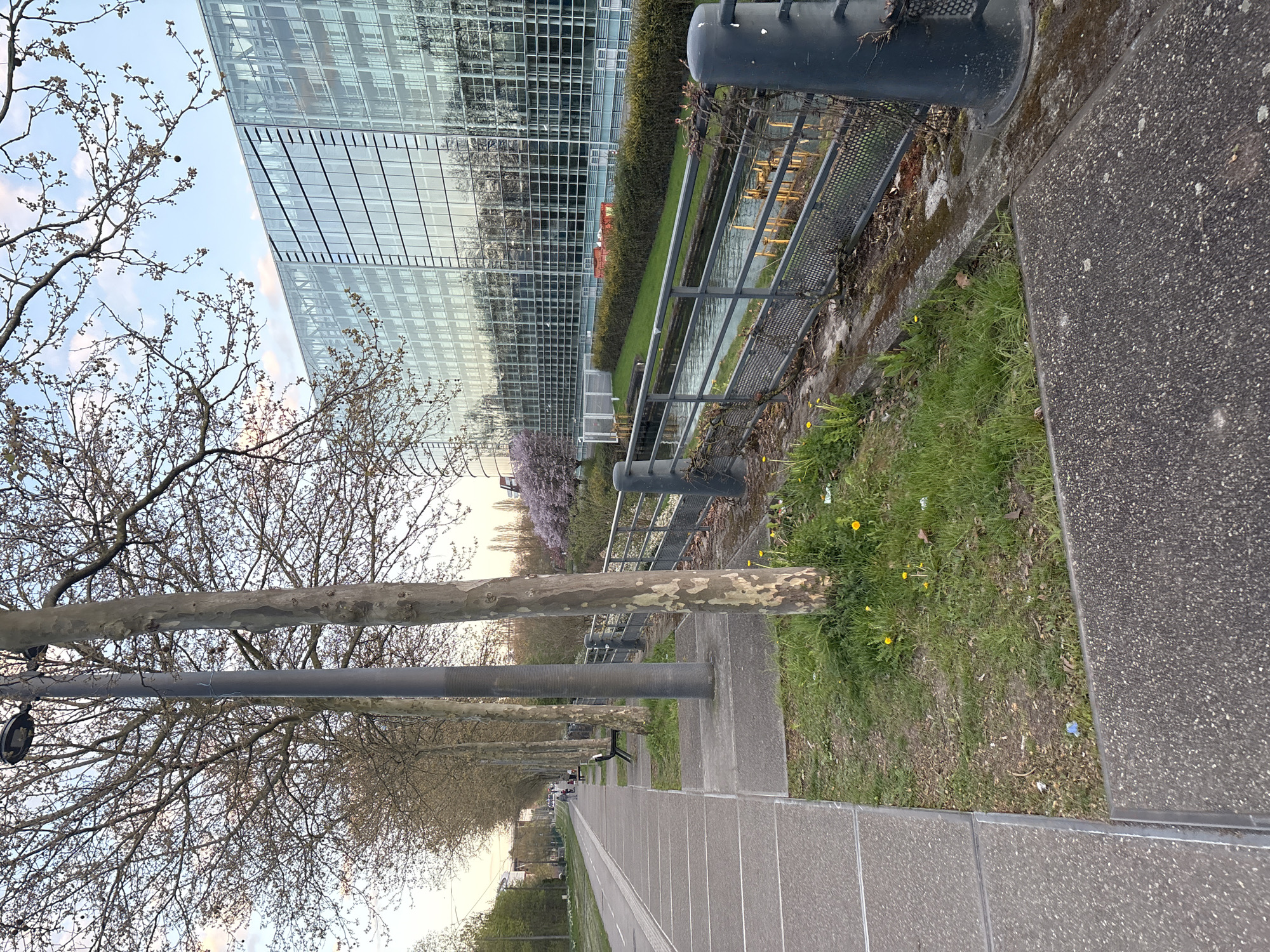 The image shows a sidewalk and bike path alongside a modern glass building and a canal in Strasbourg, France.
The foreground features a wide, paved path divided into sidewalk and bike lane sections. A row of bare trees lines the left side of the path, with streetlights interspersed among them. People are visible in the distance walking and biking along the path.
To the right of the path, there is a narrow strip of grass and foliage. A canal runs parallel to the path and is separated by a metal railing.
Beyond the canal, a large, modern building with a glass facade dominates the scene. The reflection of the sky is visible on the glass. A strip of green hedge runs along the base of the building. In the background, more trees are visible, some in bloom. The sky is overcast.