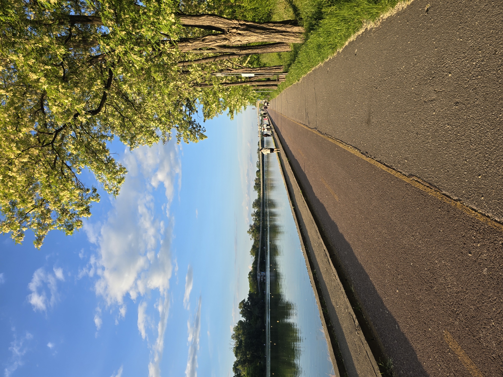 A vertical outdoor shot shows a park with a path and lake on a sunny day. The path is on the right side of the image and runs vertically, with a thin concrete ledge dividing the path from the water of the lake. The path is paved and dark gray, and there is a yellow stripe separating the wide path from a narrower path on the left. A patch of green grass lines the edge of the path on the right. Trees are along the left edge of the path, with the branches and leaves overhanging the path. People are walking on the path closer to the horizon. The lake has a calm surface that reflects the sky and trees. The sky is blue with scattered white clouds. A line of trees is on the horizon across the lake.
