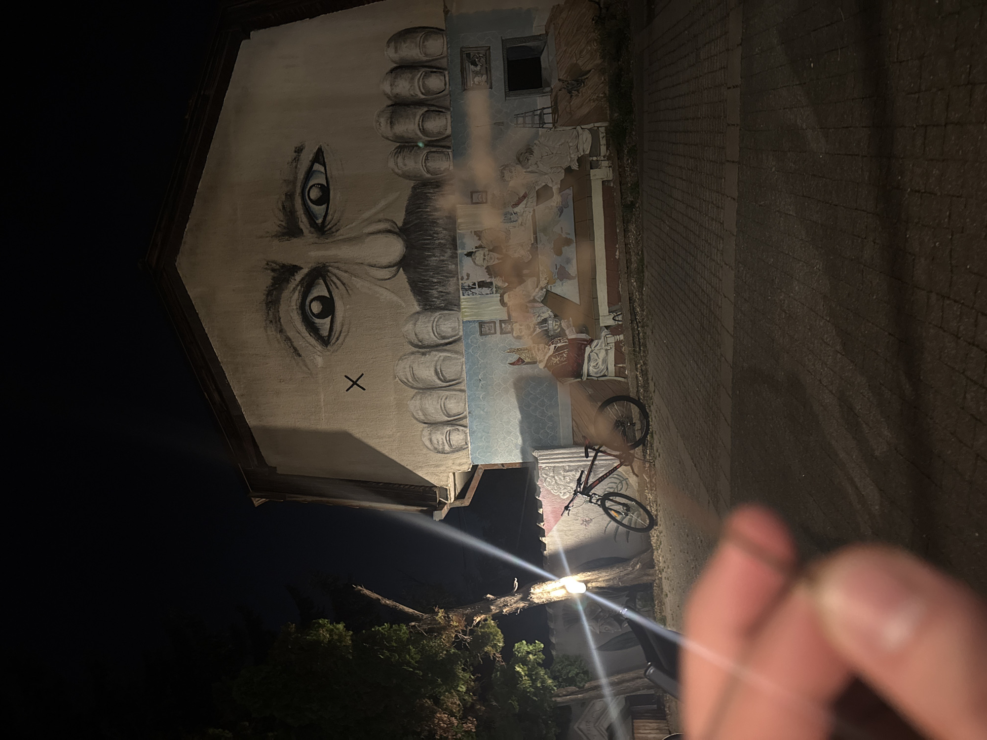 The image depicts an outdoor scene at night, with a prominent mural painted on the side of a building. The mural features a large face, with expressive eyes and a prominent mustache, seeming to look down from the upper portion of the wall. Below the face, there are painted hands that appear to be reaching down. Further down, the mural displays a scene of people gathered around a table, with a map of the world on it. To the left of the building, there is a tree with a light fixture attached to it, casting a bright glare. A bicycle is parked on the paved ground in front of the mural. The foreground of the image shows a blurred portion of a person's hand and finger. The overall setting suggests an urban environment, possibly a street or a courtyard, in Zvezdara Urban Municipality, Serbia. The lighting is dim, with artificial lights creating strong shadows.