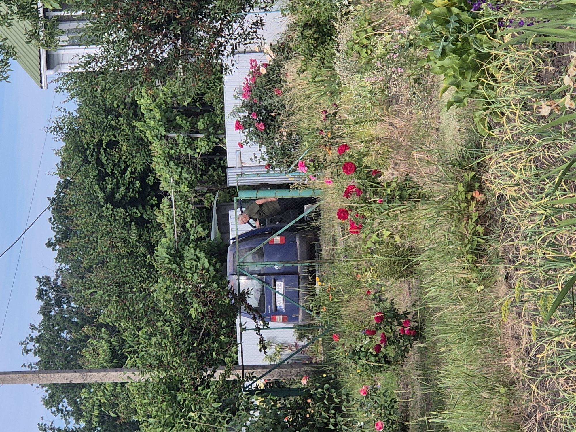 In Sozonivka, Ukraine, a man in a green uniform stands near the open rear door of a blue van parked in a grassy yard. The van has a license plate reading "BA 178 HE". A green metal fence runs across the foreground, separating the yard from a garden with red and pink roses. Beyond the fence, a white corrugated metal structure is visible, and a section of a white house with a green roof is partially obscured by trees. The scene is set amidst lush greenery and vegetation under a bright sky.