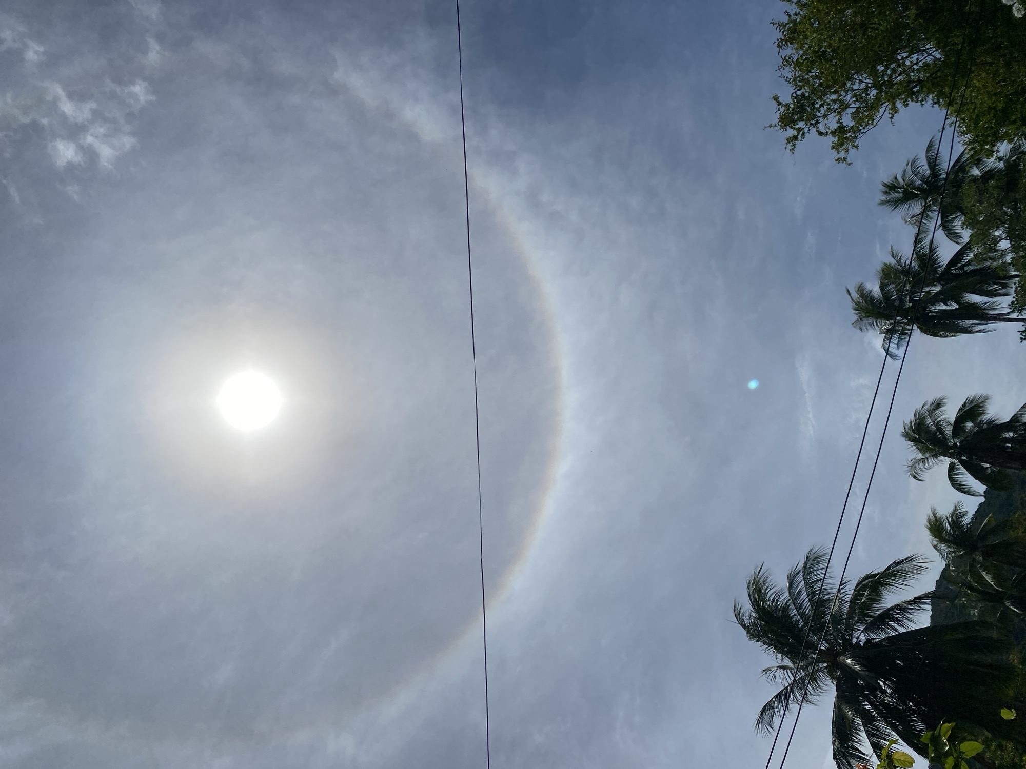 A sun halo, a rare atmospheric optical phenomenon, is visible in the sky above Koh Phangan, Thailand. The sun, a bright white orb, is positioned near the top center of the frame, surrounded by a luminous ring of color. Wispy clouds are scattered across the blue sky. In the foreground, the tops of several palm trees, silhouetted against the sky, are visible along with a power line that stretches horizontally across the image. The sun halo appears as a complete circle, with the colors of the rainbow subtly visible within it, although the effect is somewhat muted by the bright sunlight. The scene suggests a tropical environment on a clear, sunny day.