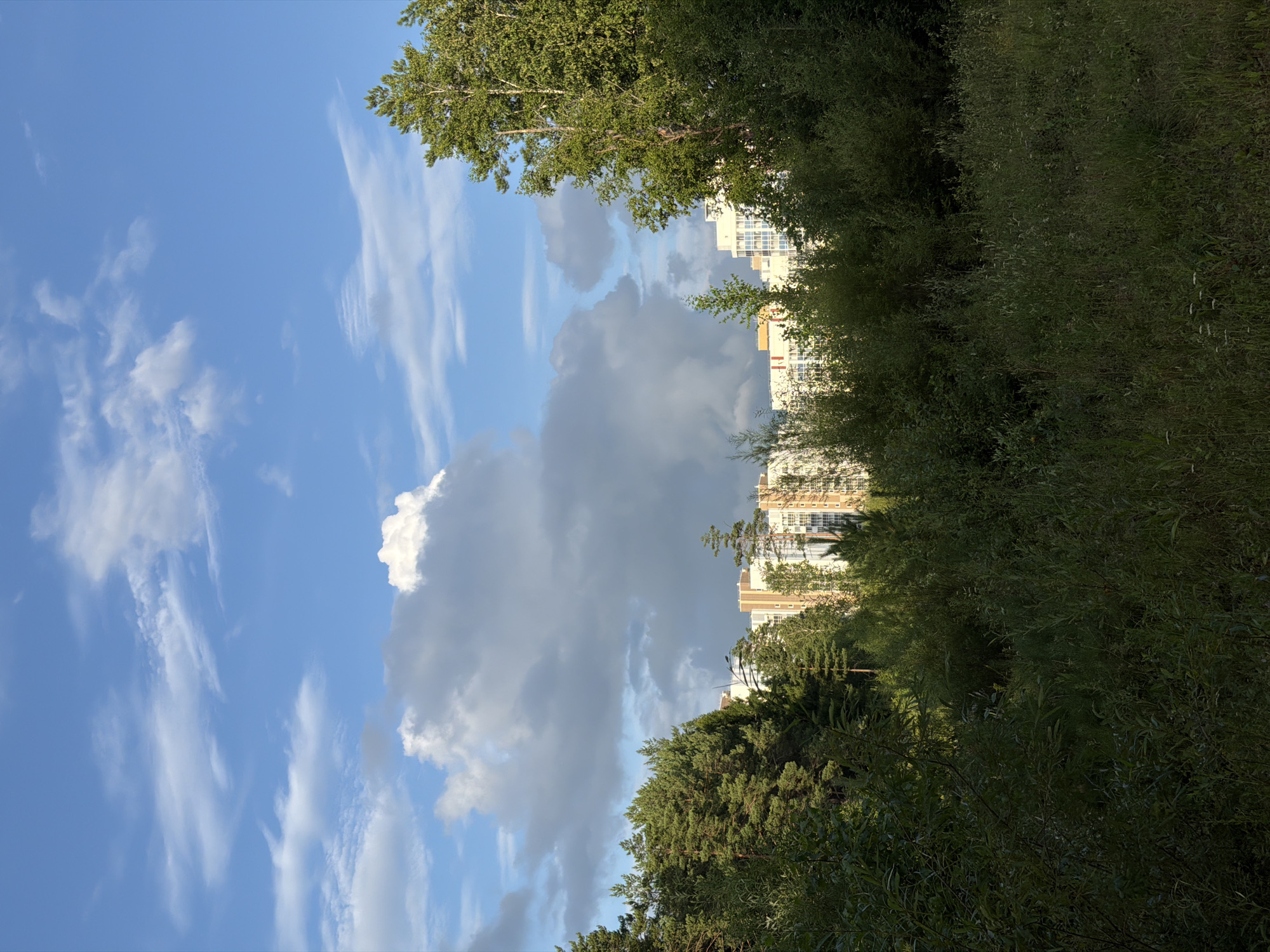The image depicts a landscape scene in the city of Tsiolkovsky, Russia, featuring a dense forest in the foreground and midground, with a glimpse of modern buildings peeking through the trees in the distance. The sky is a vibrant blue, dotted with fluffy white clouds and some wispy cirrus clouds. The forest consists of a variety of trees and foliage, with dark green hues dominating the lower portion of the frame, suggesting a shaded or late afternoon light. The buildings in the background appear to be multi-story apartment complexes, characterized by light-colored facades and numerous windows. The overall atmosphere is one of nature's presence encroaching upon urban development, with the lush greenery acting as a natural screen for the residential structures. No people or animals are visible in the image.