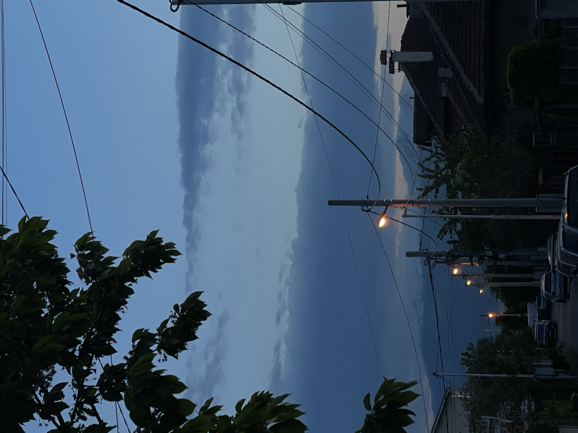 The image captures a quiet urban or suburban street scene at dusk or early night in Sofia, Bulgaria. The sky, dominating the upper and central portions, transitions from a deep blue to a lighter, greyish-blue towards the horizon, marked by a distinct horizontal band of lighter cloud formation that extends across the frame. Scattered, darker clouds are also visible against the fading light.
Numerous dark power lines crisscross the sky, attached to several dark utility poles that run vertically along the right side of the image. These poles support illuminated street lights, which cast a warm, orange-yellow glow, signifying the low light conditions. In the foreground on the left, the dark silhouettes of leafy tree branches are prominent, partially obscuring the sky. More trees and shrubbery are visible further down the street, interspersed among buildings.
On the far right, the dark shapes of residential buildings with sloped roofs are discernible, their architectural details softened by the dim light. A few parked cars are faintly visible along the street, which appears dark and indistinct. The overall scene conveys a sense of peaceful quietude characteristic of an evening in a residential area. There is no human activity or visible text in the image.