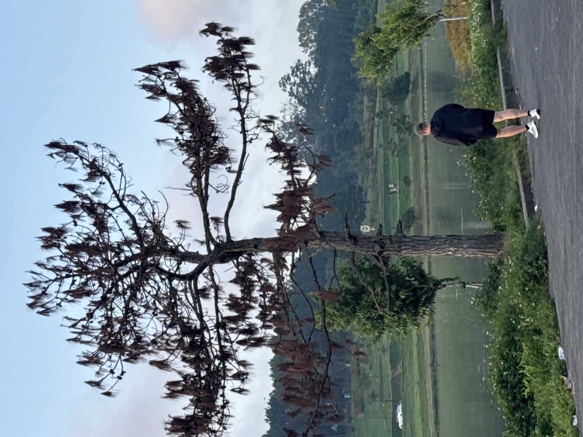 A man in a black hoodie and shorts walks on a paved path beside a body of water, possibly Xuân Hương Lake in Da Lat, Vietnam. The path is bordered by a low concrete barrier and dense green foliage with small white flowers. In the background, across the water, are manicured green slopes with scattered trees and a few people walking. A large tree with dark, dry foliage dominates the foreground on the left. The sky is overcast with a pale blue hue. Further in the distance, rolling hills covered in dense trees form the backdrop. A white car is visible on a lower level of the green slopes. The overall scene suggests a calm, outdoor environment, possibly in the early morning or late afternoon.