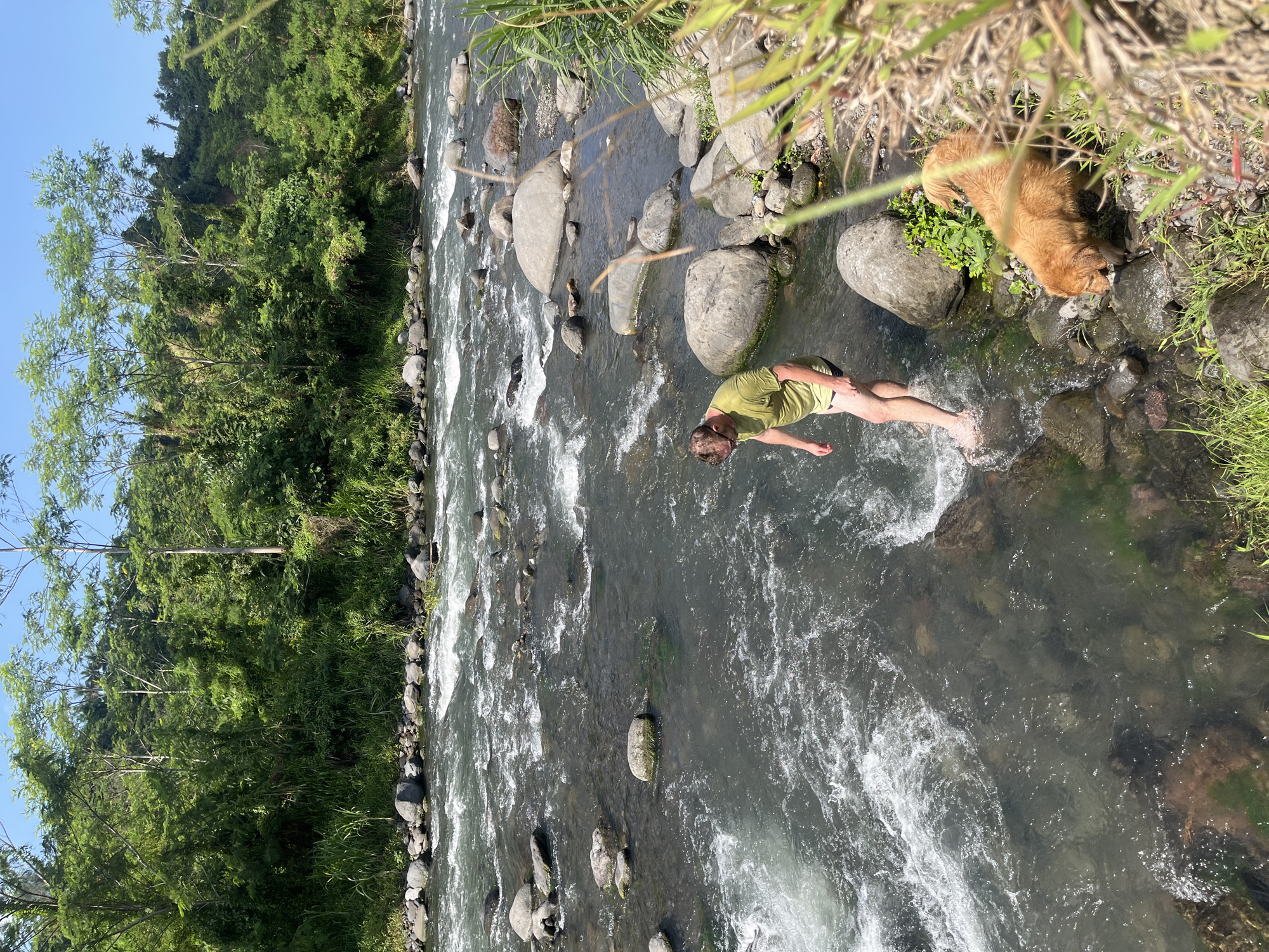 A man with blonde hair, wearing a green t-shirt and black shorts, stands in a shallow, rocky river. He is wading through the water, with his feet submerged. To his right, a golden retriever dog sniffs at the rocks near the riverbank. The river is filled with numerous rocks of various sizes, and the water flows rapidly, creating small rapids and whitewater. The riverbank is covered with rocks and lush green vegetation, including tall grasses and trees. In the background, a dense forest covers a hillside under a clear blue sky. The scene depicts a natural outdoor environment, likely in a rural area near Klungkung, Indonesia, given the tropical vegetation and the appearance of the river.
