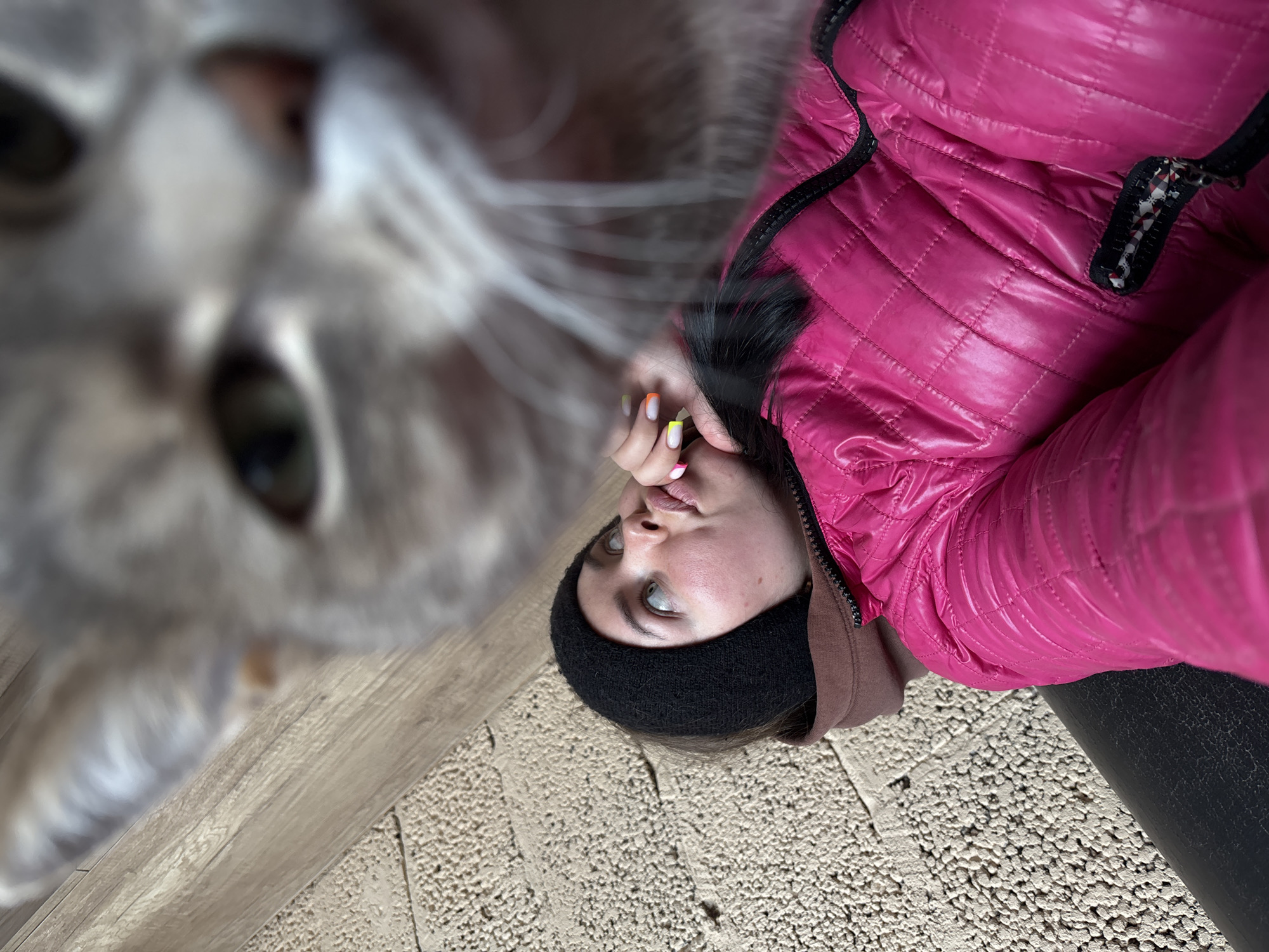 A woman in a pink quilted jacket and black knit cap looks up at a large, out-of-focus gray cat. The woman's hand is near her face. The background appears to be an exterior space with textured ground and a wooden-like surface. No specific details identify the location as Русский Вожой, Russia.