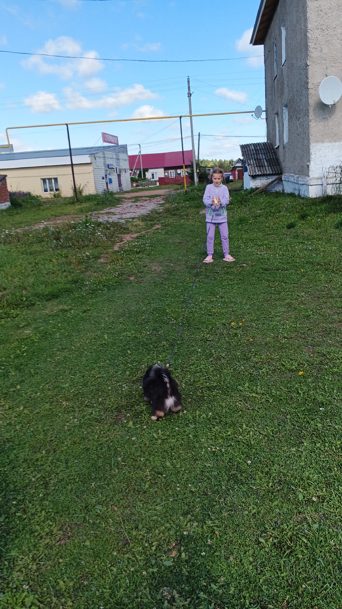 A young girl is holding a leash attached to a small, dark-colored dog on a patch of grass. The girl is wearing a light purple hooded sweatshirt and matching light purple pants, with pink flip-flops. She is standing near the edge of a dirt path, and the dog is on the grass in front of her, facing away from the camera. In the background, there is a light-colored building with a red roof, a taller concrete building, and a blue sky with scattered clouds. The setting appears to be a rural or suburban area.