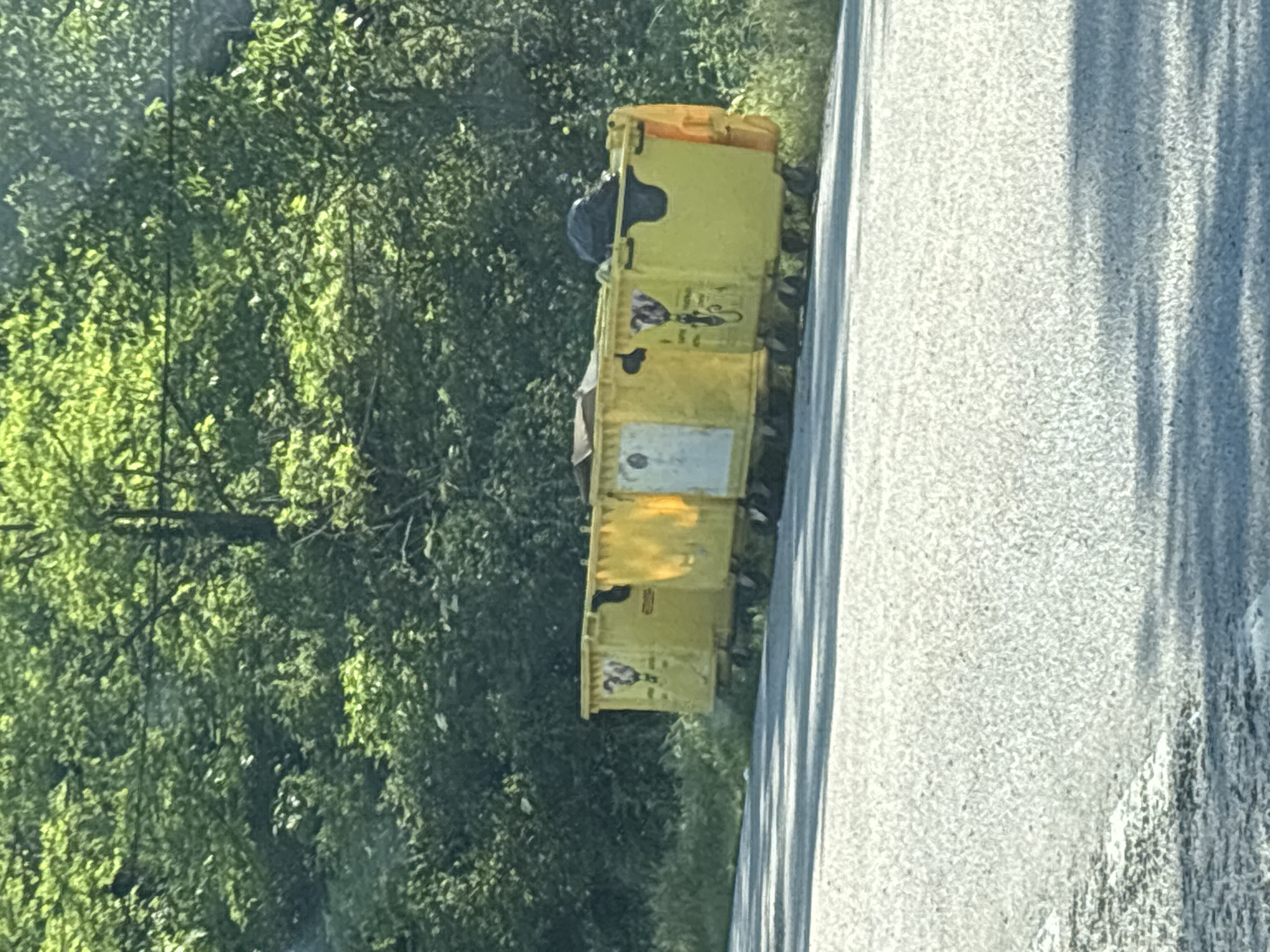 A line of four yellow industrial dumpsters is situated on a grassy verge beside a paved road. The dumpsters are arranged end-to-end and are mostly full, with some trash overflowing from the top of one. The dumpsters have black lids on some of them, and one dumpster has a black plastic bag on top. There are various logos and markings on the dumpsters, including what appear to be images of animals and text. Behind the dumpsters, a dense green forest forms a backdrop. The road in the foreground is asphalt and shows shadows cast by unseen objects. The scene suggests an outdoor area, likely in a rural or semi-rural setting, possibly a public waste disposal point. The location is in the city of Stoichоvtsi, Bulgaria.