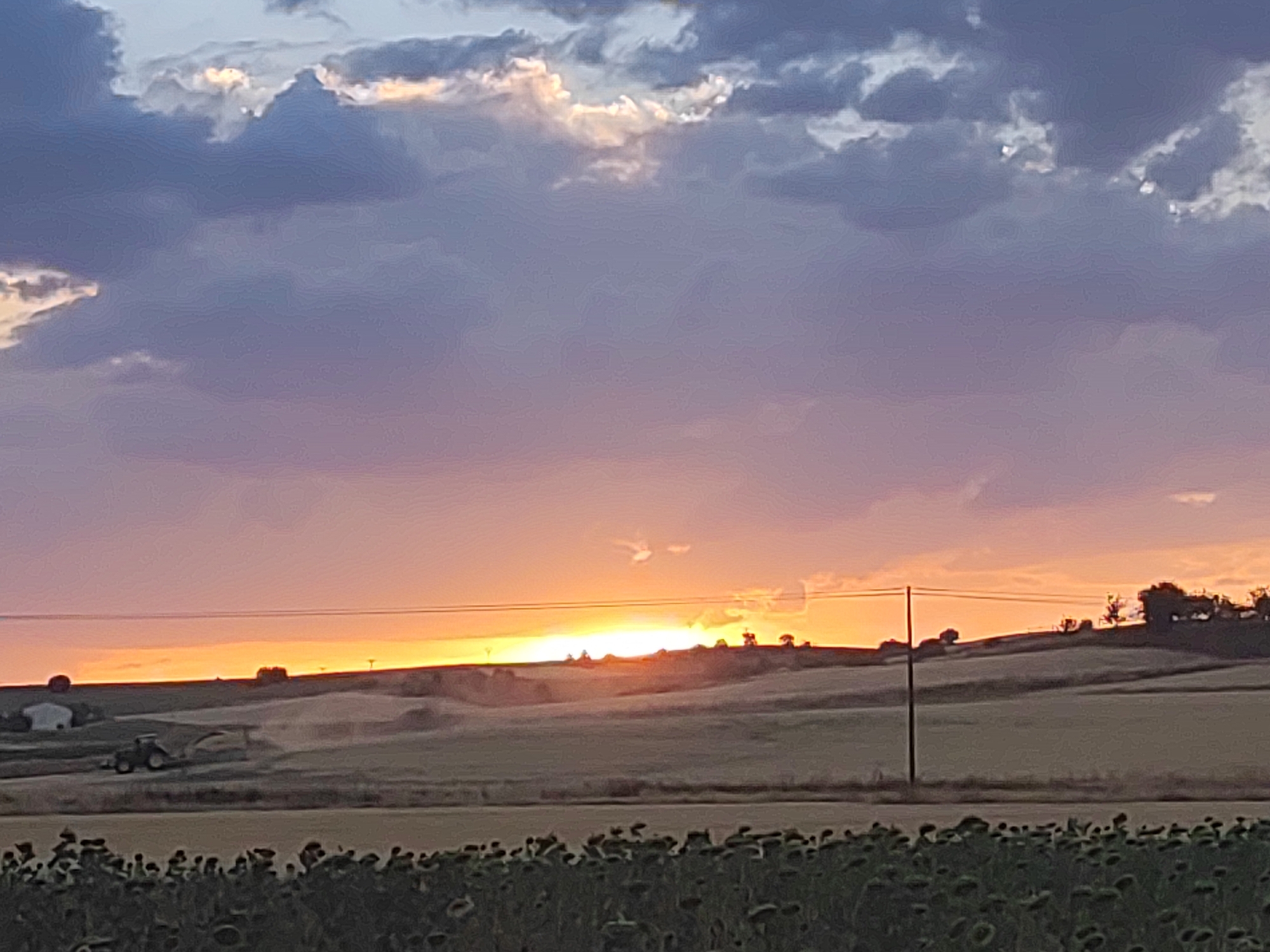 In the city of Villarejo de Fuentes, Spain, a pastoral landscape unfolds under a dramatic sunset. The sky is ablaze with vibrant hues of orange and purple, transitioning into soft pinks and blues, with dark, textured clouds dominating the upper portion. Below, rolling hills are silhouetted against the horizon, dotted with trees. In the middle ground, a tractor is engaged in agricultural work on a field, with dust or crop residue being kicked up. A building, possibly a farmhouse, is visible on the left side of the field. A single utility pole stands prominently in the right-center of the frame. In the foreground, a dense field of sunflowers stretches across the bottom of the image, their dark centers and petals blurred by the low light and possibly the focus of the camera. The overall scene captures a moment of rural life at dusk.
