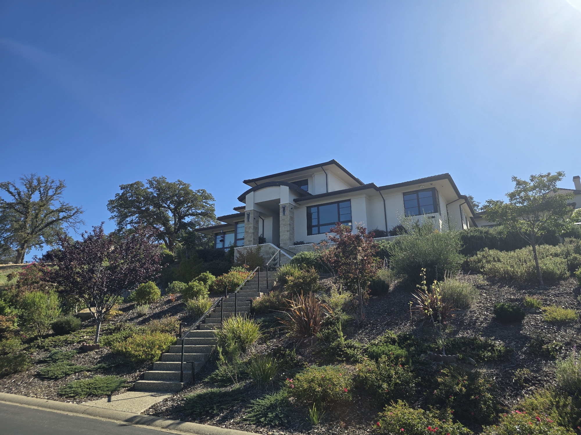 A modern, multi-story house is situated on a lush, landscaped hill. The exterior of the house is primarily white with dark-trimmed windows. A wide, concrete staircase with black railings ascends the slope towards the house's entrance. The hillside is covered in a variety of drought-tolerant plants, including shrubs, ornamental grasses, and trees with dark foliage. The sky is clear and bright blue, with the sun casting a slight glare in the upper right corner. A paved road runs along the bottom left of the image.