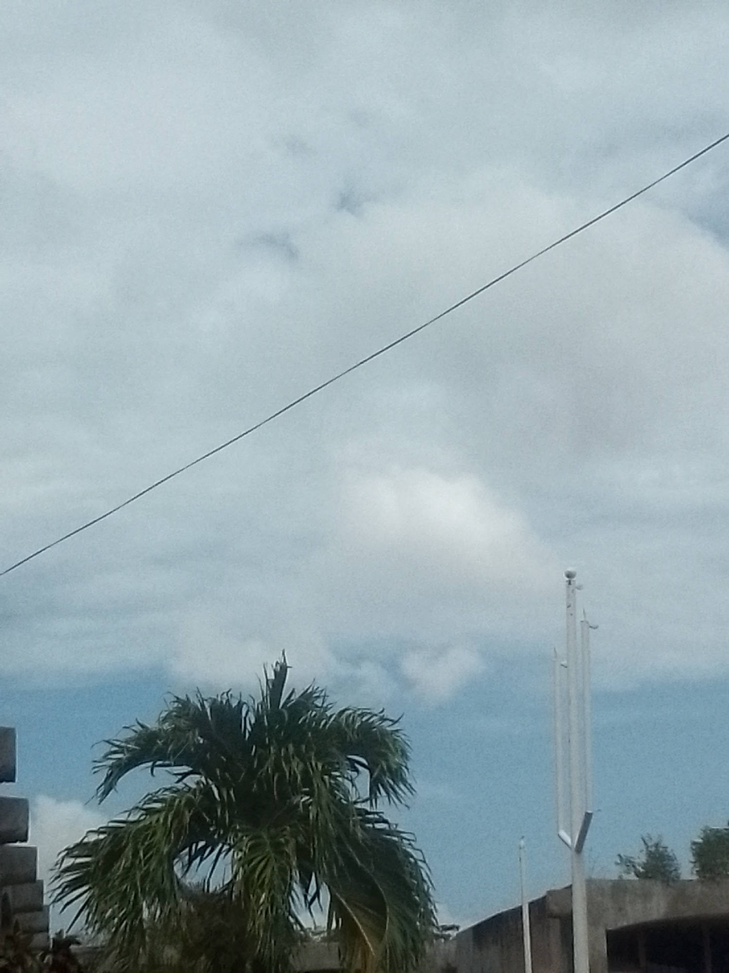 The image displays a daytime outdoor scene featuring a cloudy sky, a palm tree, and man-made structures, characteristic of Juan Griego, Venezuela. The upper portion of the frame is dominated by a pale blue sky covered with white and light grey clouds, suggesting an overcast or partly cloudy day. A single, thin, dark utility wire or cable runs diagonally from the upper left to the lower right across the sky.
In the lower half of the image, a large, vibrant green palm tree stands prominently, with its fronds fanned out. To the right of the palm tree, a tall, white, multi-pronged pole, possibly a flagpole or a decorative structure, extends vertically into the sky. It features a spherical top and some horizontal attachments. Below and to the left of the palm tree, a stack of grey, possibly concrete blocks or pipes is partially visible. Further to the right, parts of concrete walls or buildings are discernable beneath the pole and tree. No discernible activity or people are present. There is no visible text. The overall scene depicts a static tropical landscape.