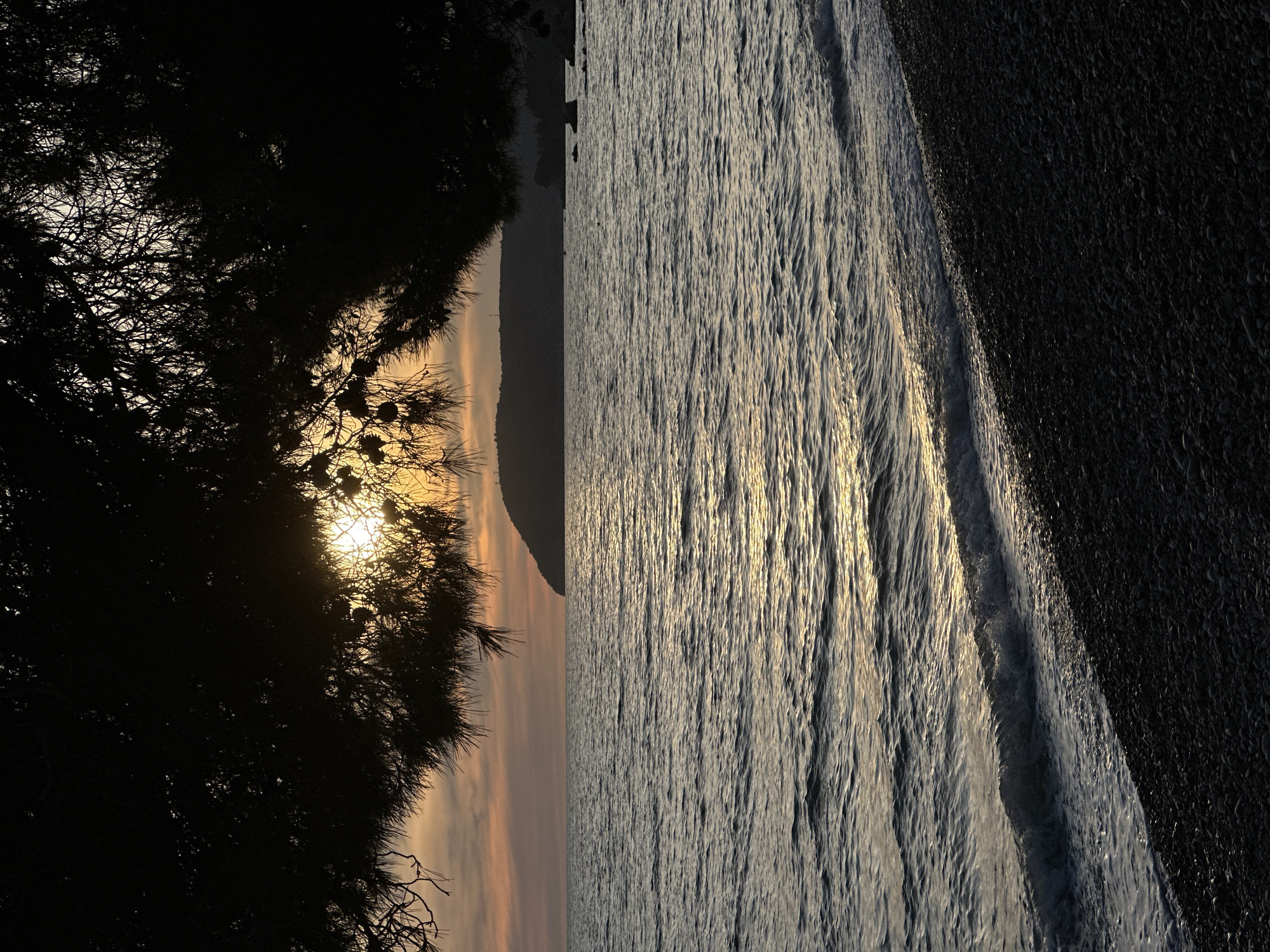 The image, taken in Šušanj, Montenegro, shows a coastal scene divided vertically. The left side features silhouetted trees against a sunset sky, with the sun visible through the branches. The right side depicts the sea, with waves lapping onto a dark, pebble-strewn beach. The lighting suggests either sunrise or sunset.
