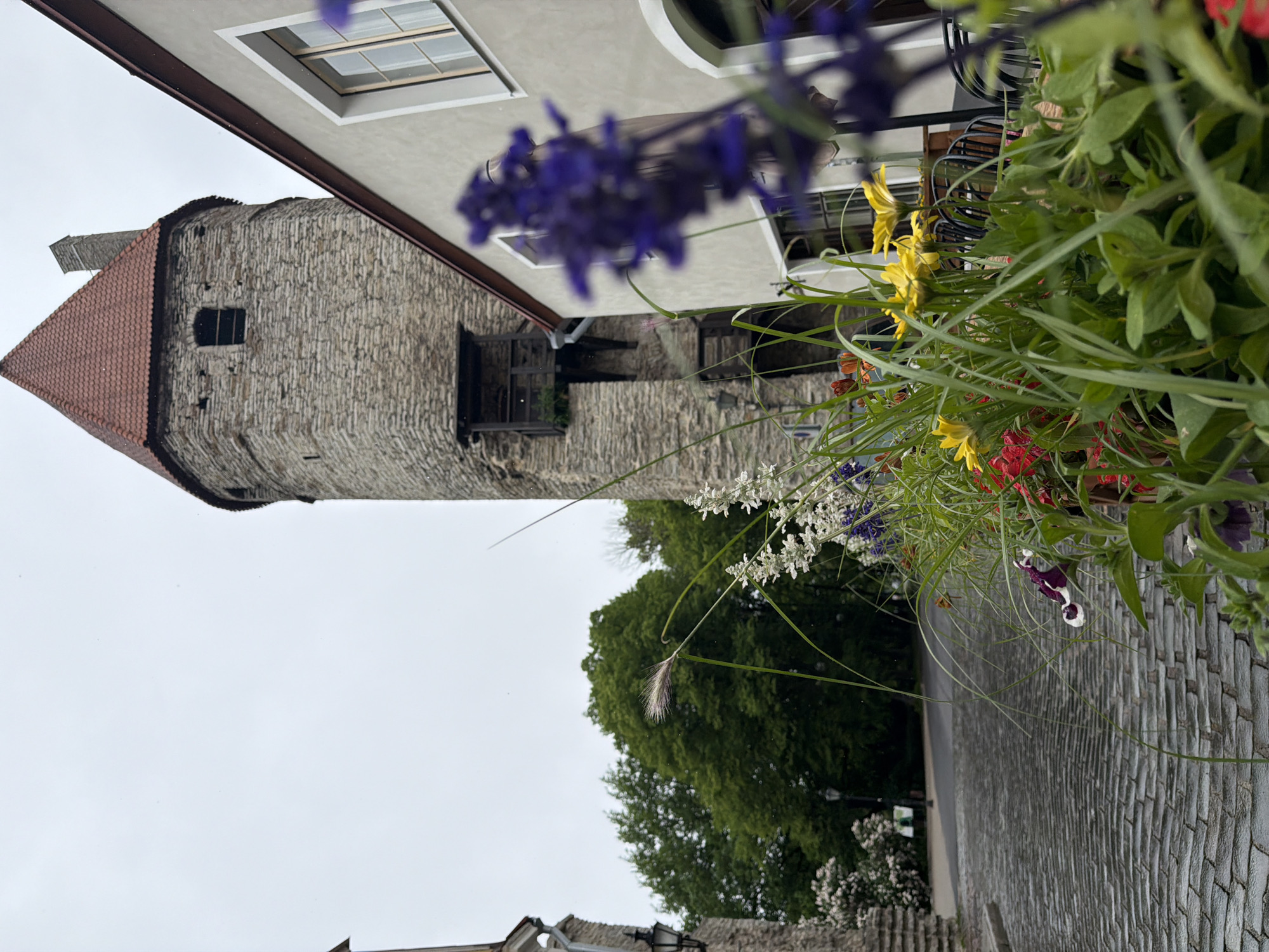 The image depicts a cobblestone street in Tallinn, Estonia, leading towards a medieval stone tower with a red tiled roof. The tower has a small wooden balcony and a window with a dark frame. To the right of the tower is a light-colored building with a modern window and a red-tiled roofline that mirrors the tower's. In the foreground, a vibrant flower box is overflowing with a variety of flowers, including purple, yellow, red, and white blooms, along with green foliage and tall grasses. Some of the flowers are blurred due to being in the foreground and out of focus. The sky is overcast and appears grey. Trees, some with lush green foliage, are visible in the background to the left of the tower. A street lamp is visible on the left side of the image near the cobblestone street. Outdoor seating with chairs is set up in front of the building to the right of the tower, partially obscured by the flowers. There are no people visible in the image. The overall atmosphere suggests a quaint European street scene, possibly in the Old Town of Tallinn.